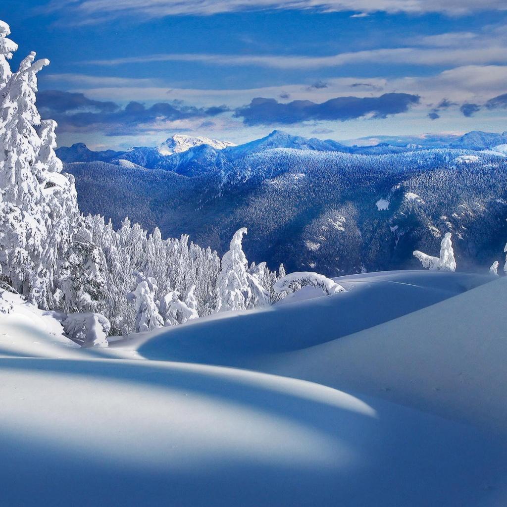 1024x1024 Free Winter Wallpaper for iPad