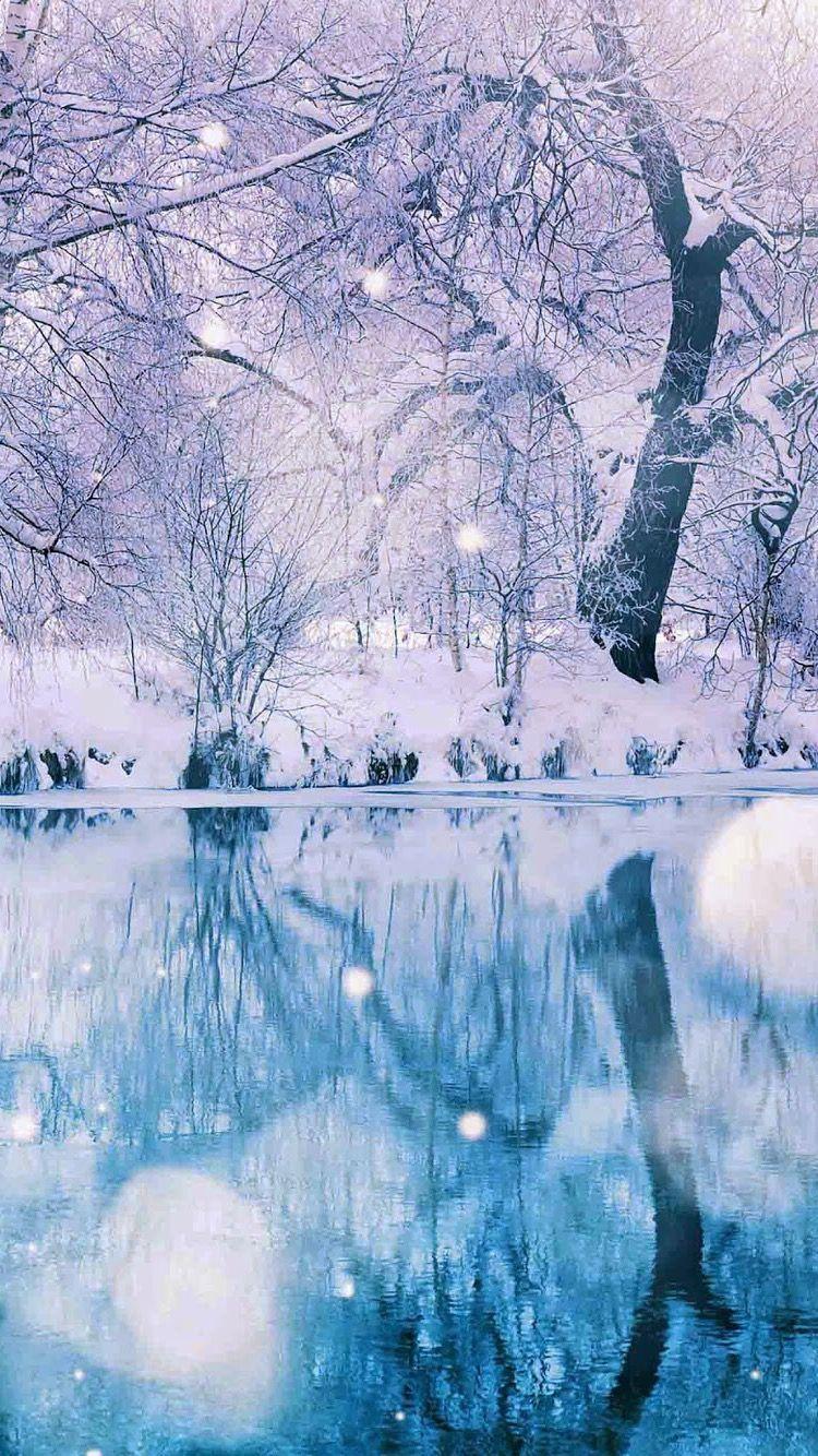 750x1334 Wallpaper. Winter wonderland wallpaper, Winter wallpaper, iPhone wallpaper winter