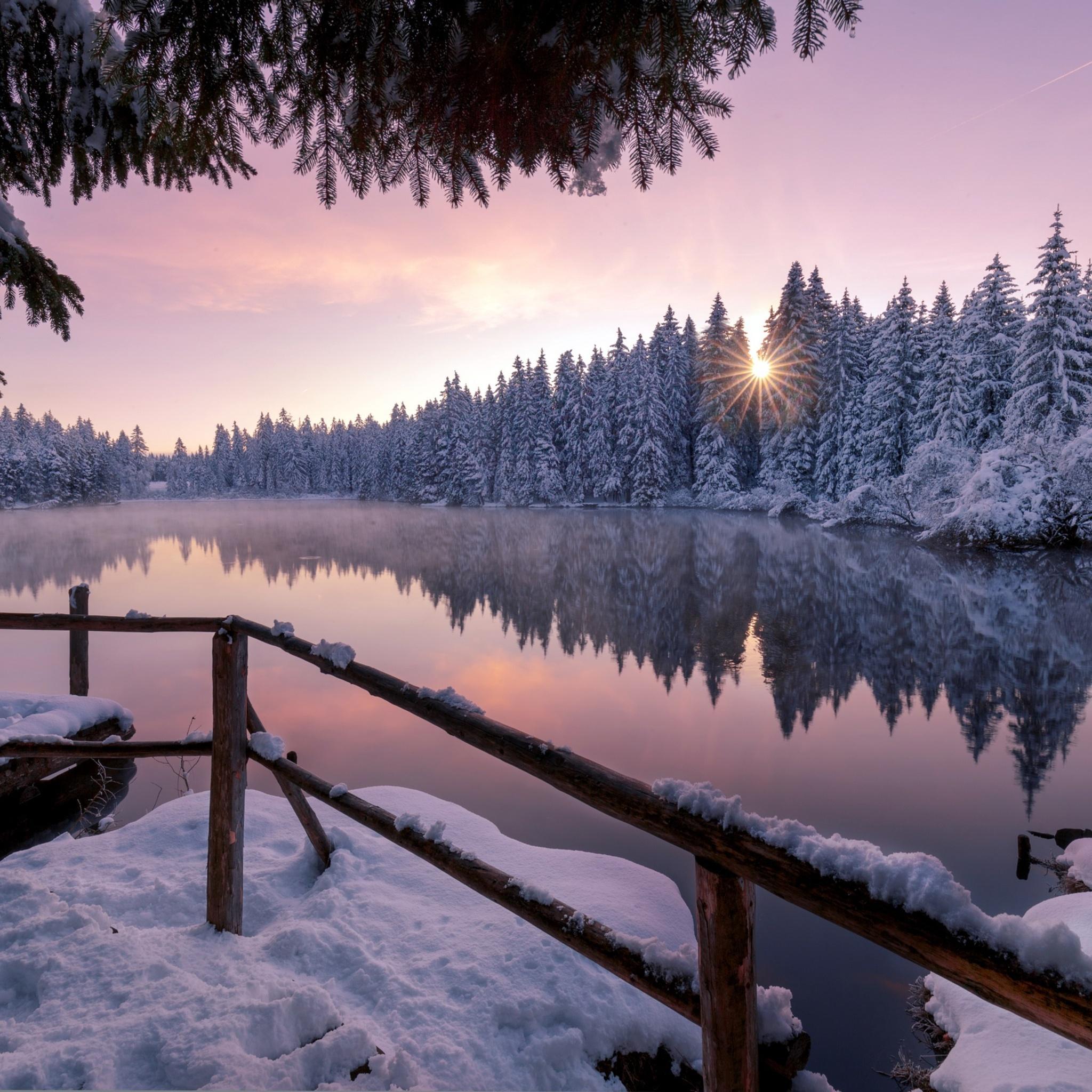 2048x2048 Winter Snow Trees Nature Outdoors iPad Air HD 4k Wallpaper, Image, Background, Photo and Picture