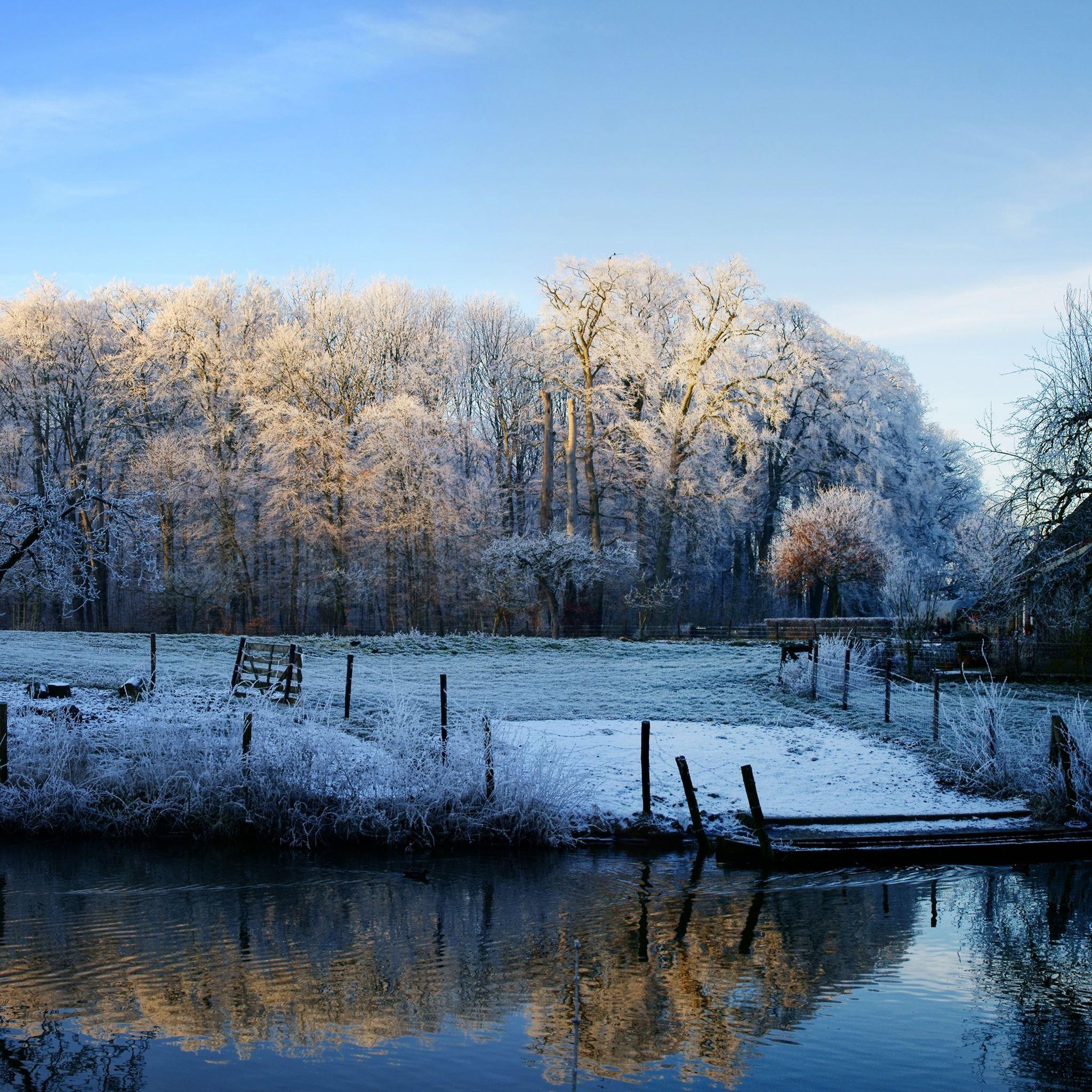 2048x2048 Winter Scenery iPad Air Wallpaper Free Download