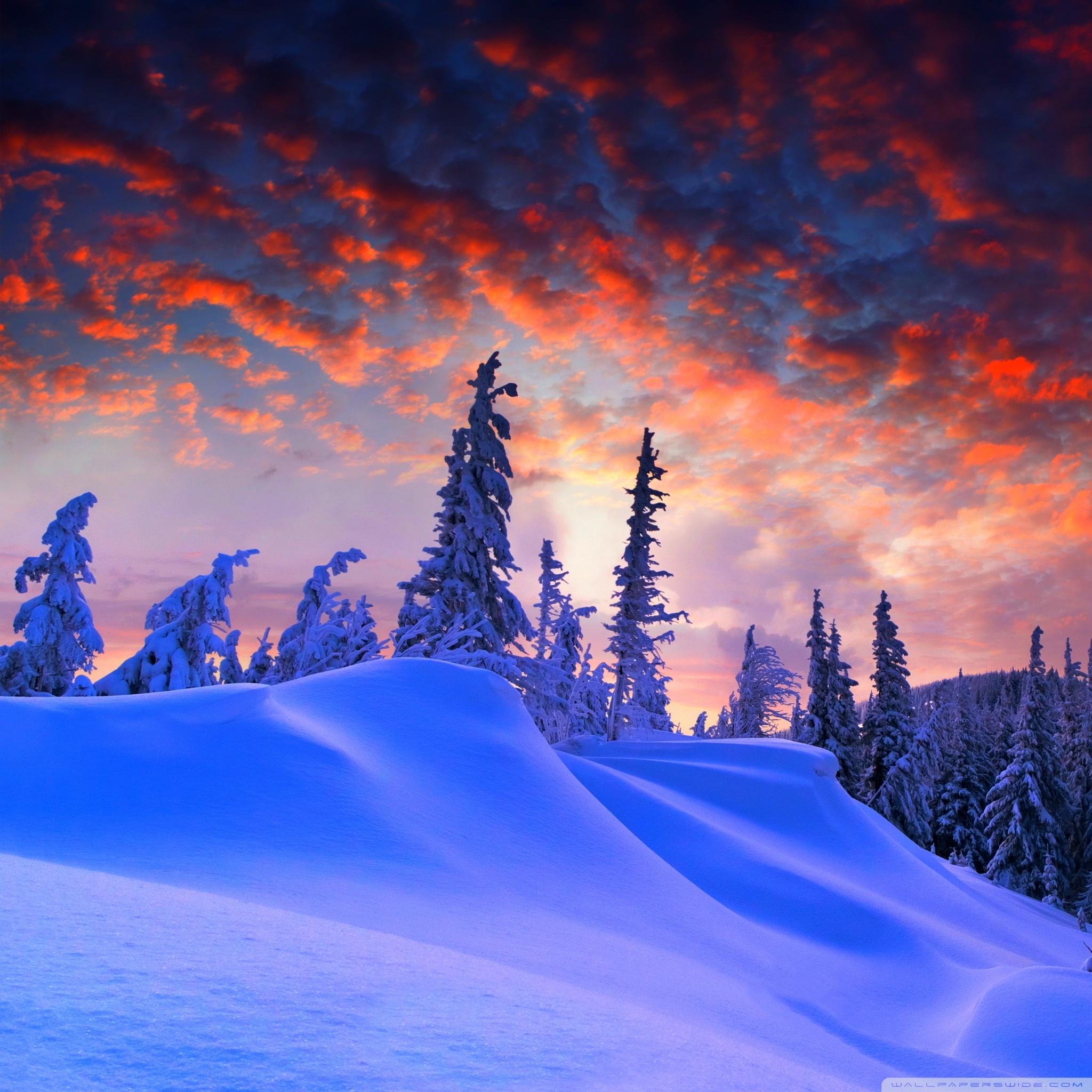 2048x2048 free wallpaper for ipad mini, nature, snow, sky, natural landscape, winter