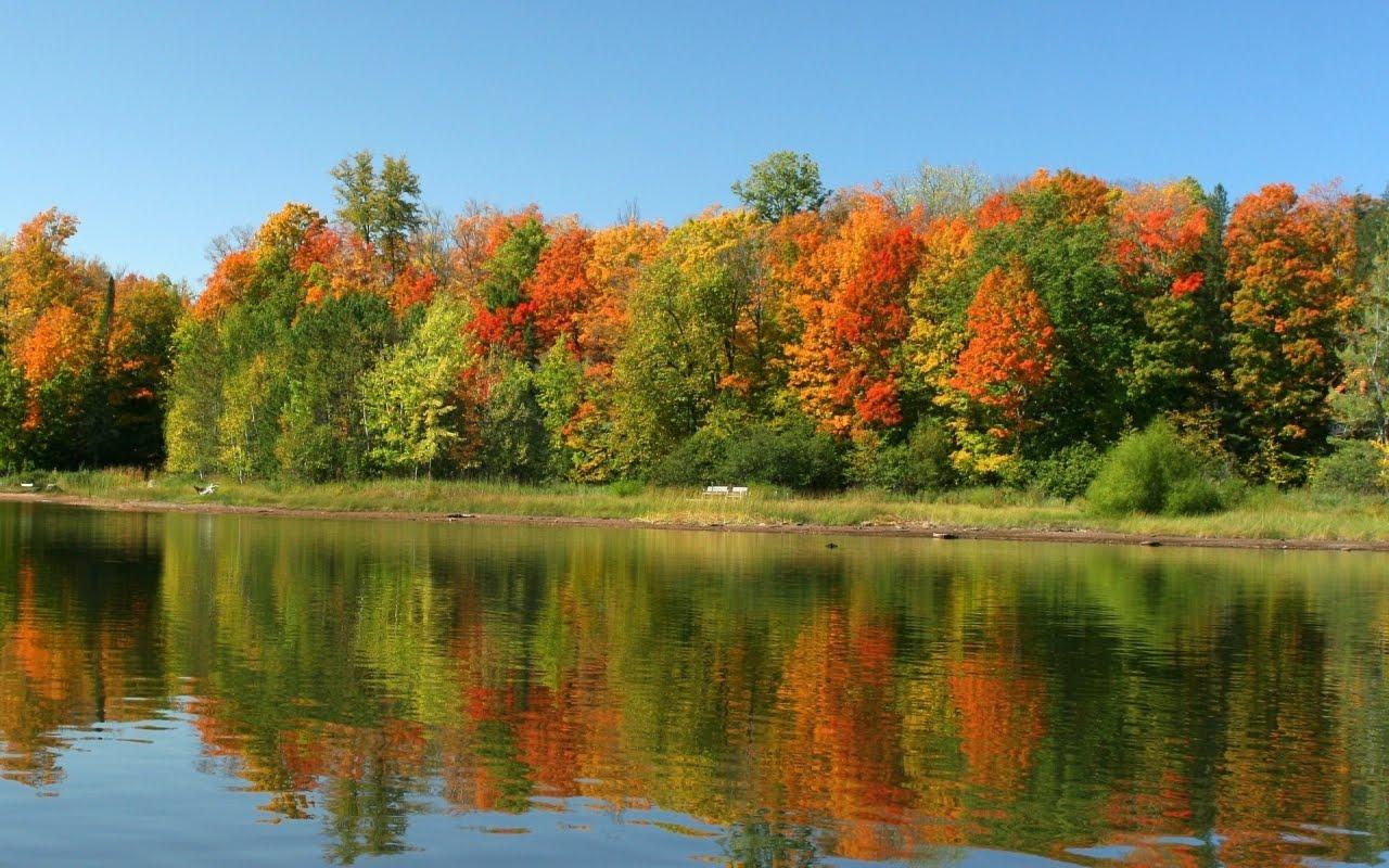 1280x800 Colorful Nature Wallpaper