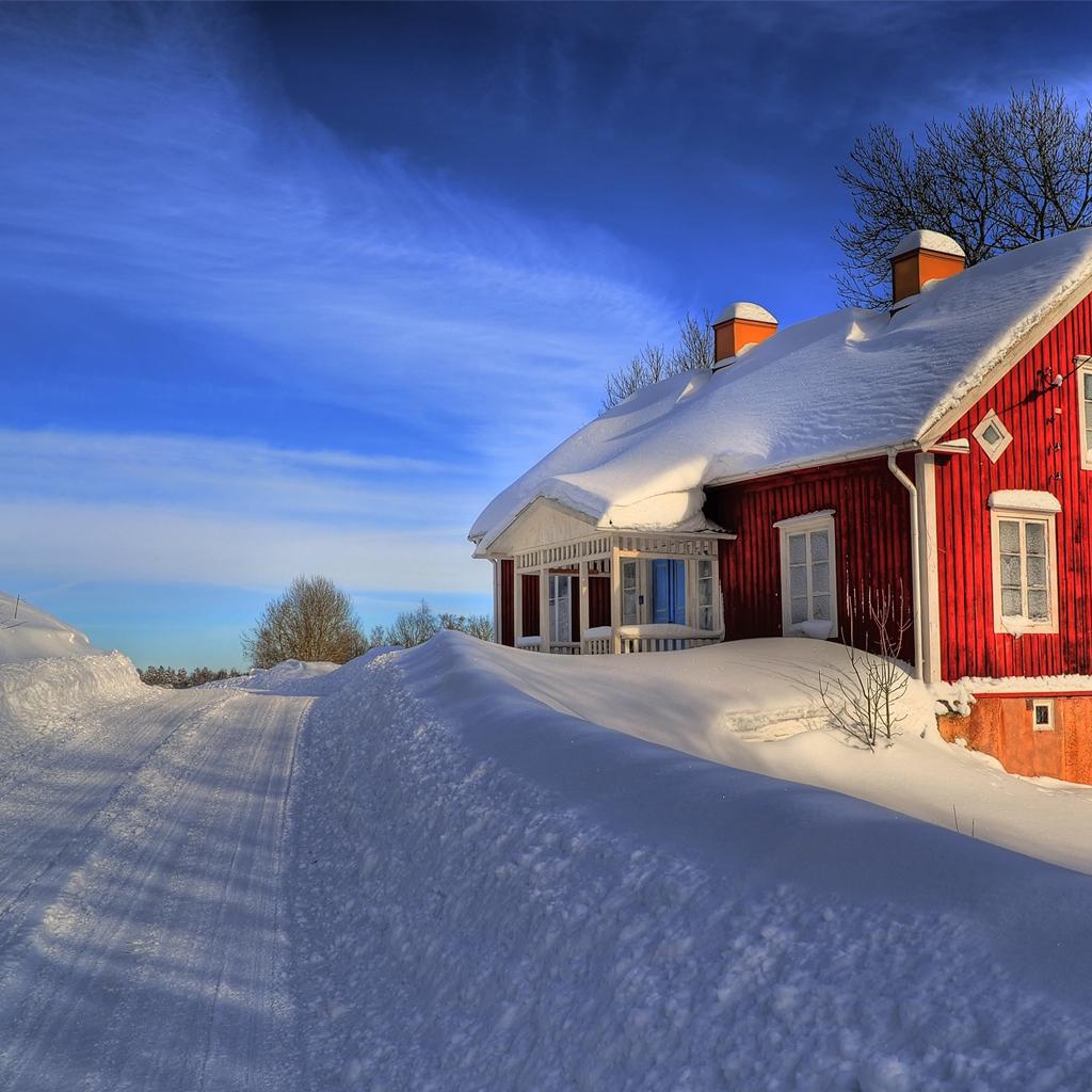 1024x1024 Free Winter Wallpaper for iPad