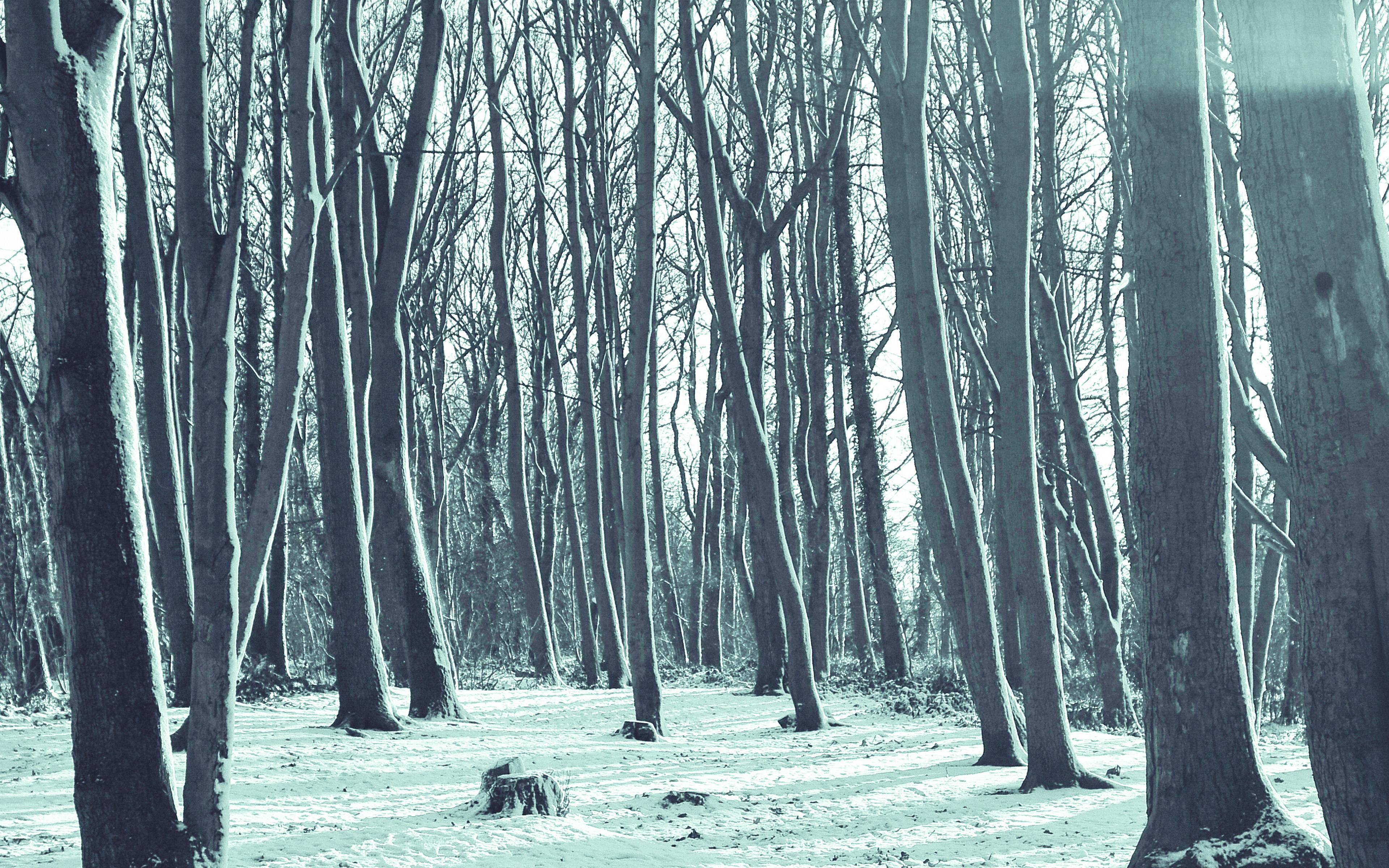 3840x2400 Winter wallpaper pack for iPad, iPhone, and desktop