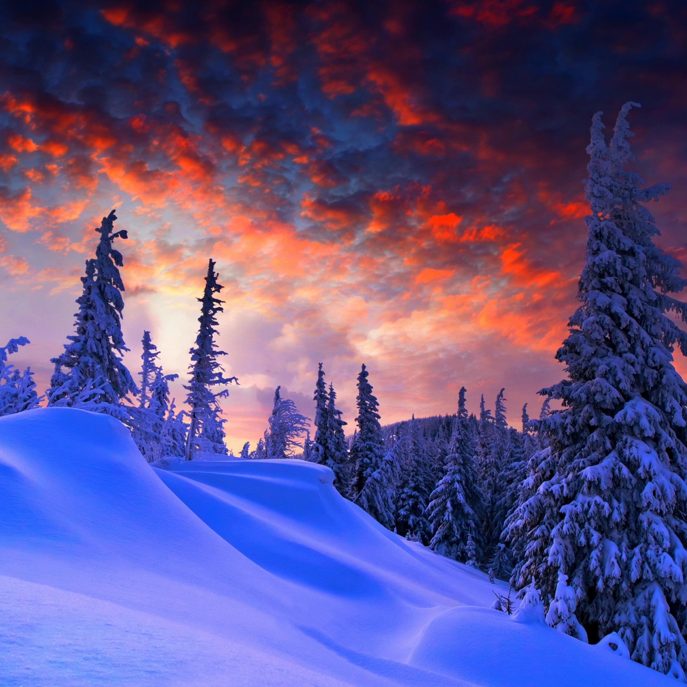 Winter iPad Air Wallpapers - Top Free Winter iPad Air Backgrounds