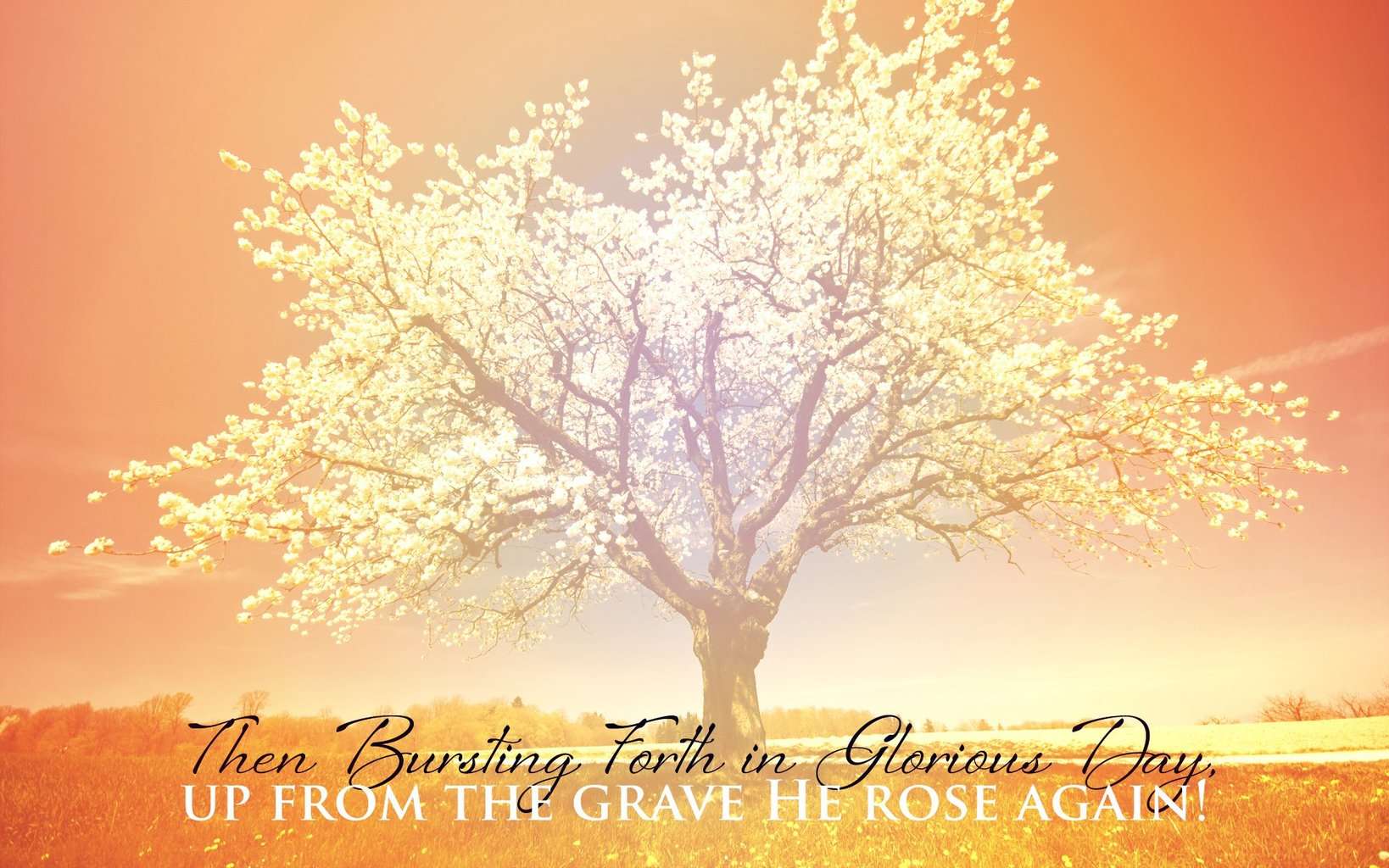 1638x1024 Christian Easter Desktop Wallpaper, HD Christian Easter Desktop Background