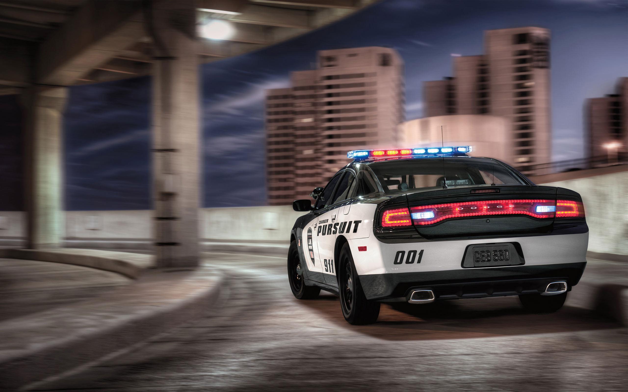 2560x1600 Dodge Charger Pursuit 2 Wallpaper Car Wallpaper