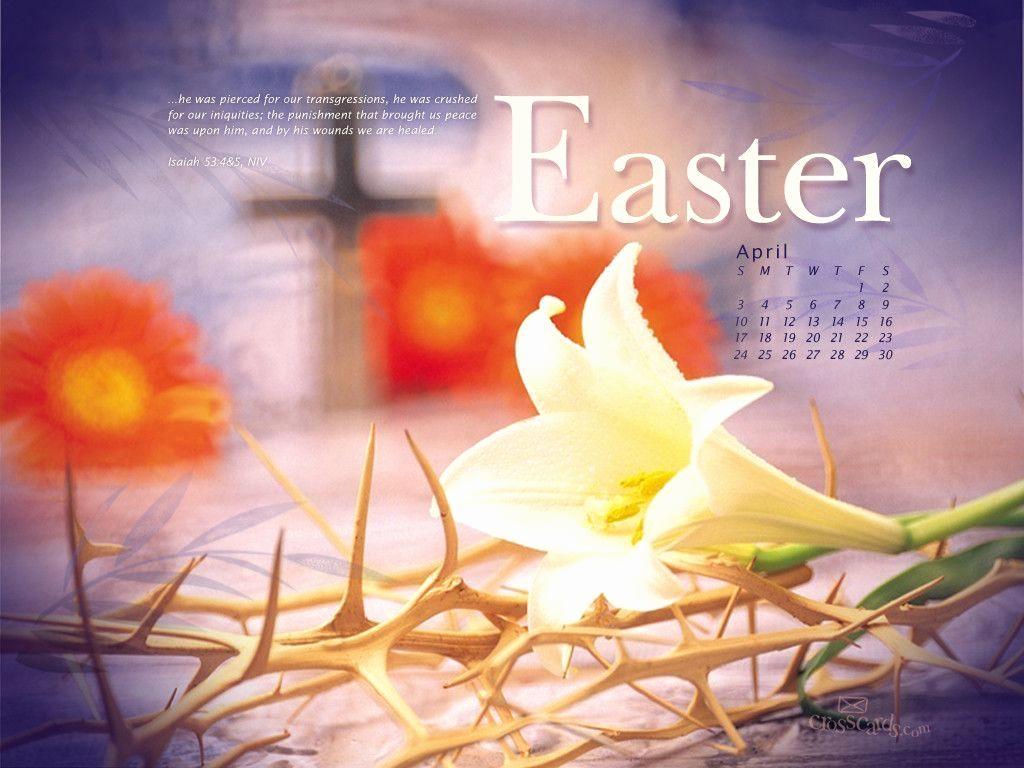 1024x768 easter wallpaper, daisy, chamomile, flower, daisy, easter egg, spring, yellow, mayweed, grass, easter