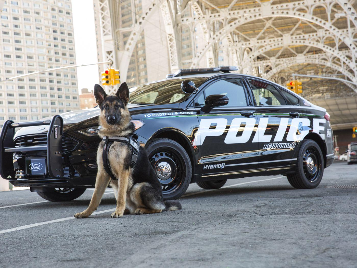 1400x1050 Ford built a hybrid police car designed to handle punishing pursuits