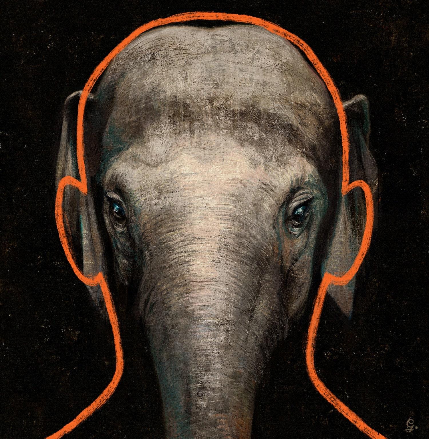 1500x1536 The Elephant in the Courtroom. The New Yorker