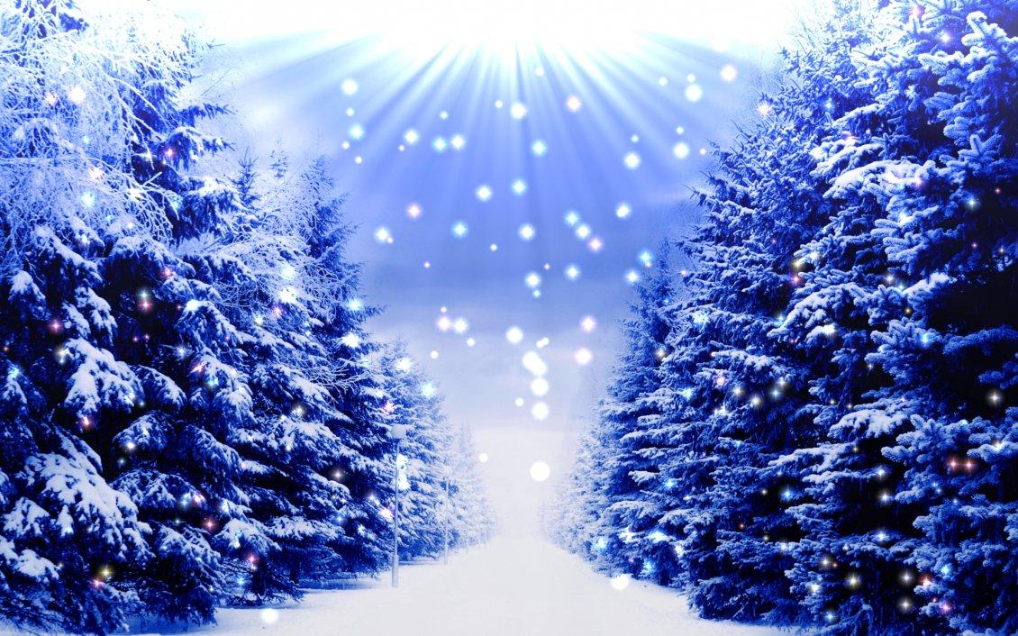 1130x706 Download Wallpaper Blue Christmas Trees Full With White Christmas Tree With Snow Wallpaper & Background Download