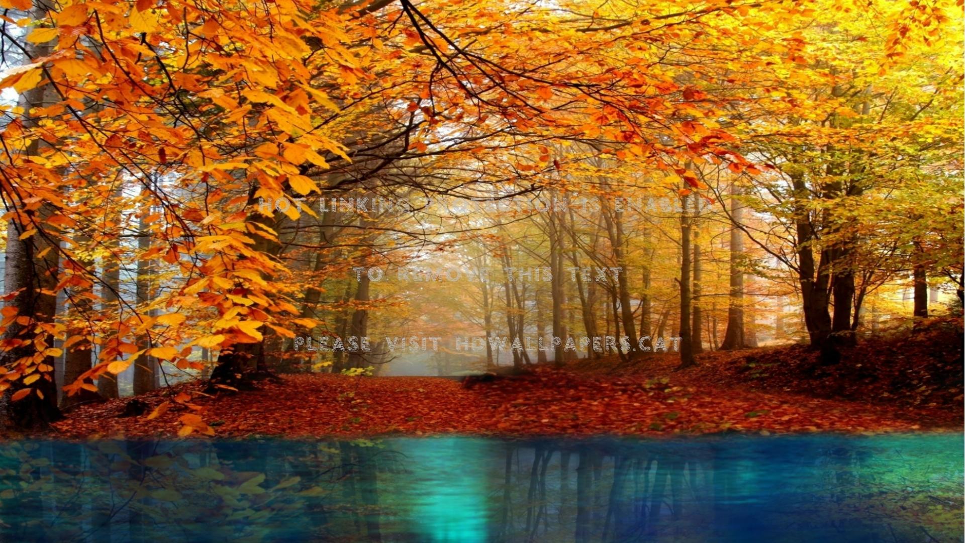 Autumn HD Wallpapers - Top Free Autumn HD Backgrounds - WallpaperAccess