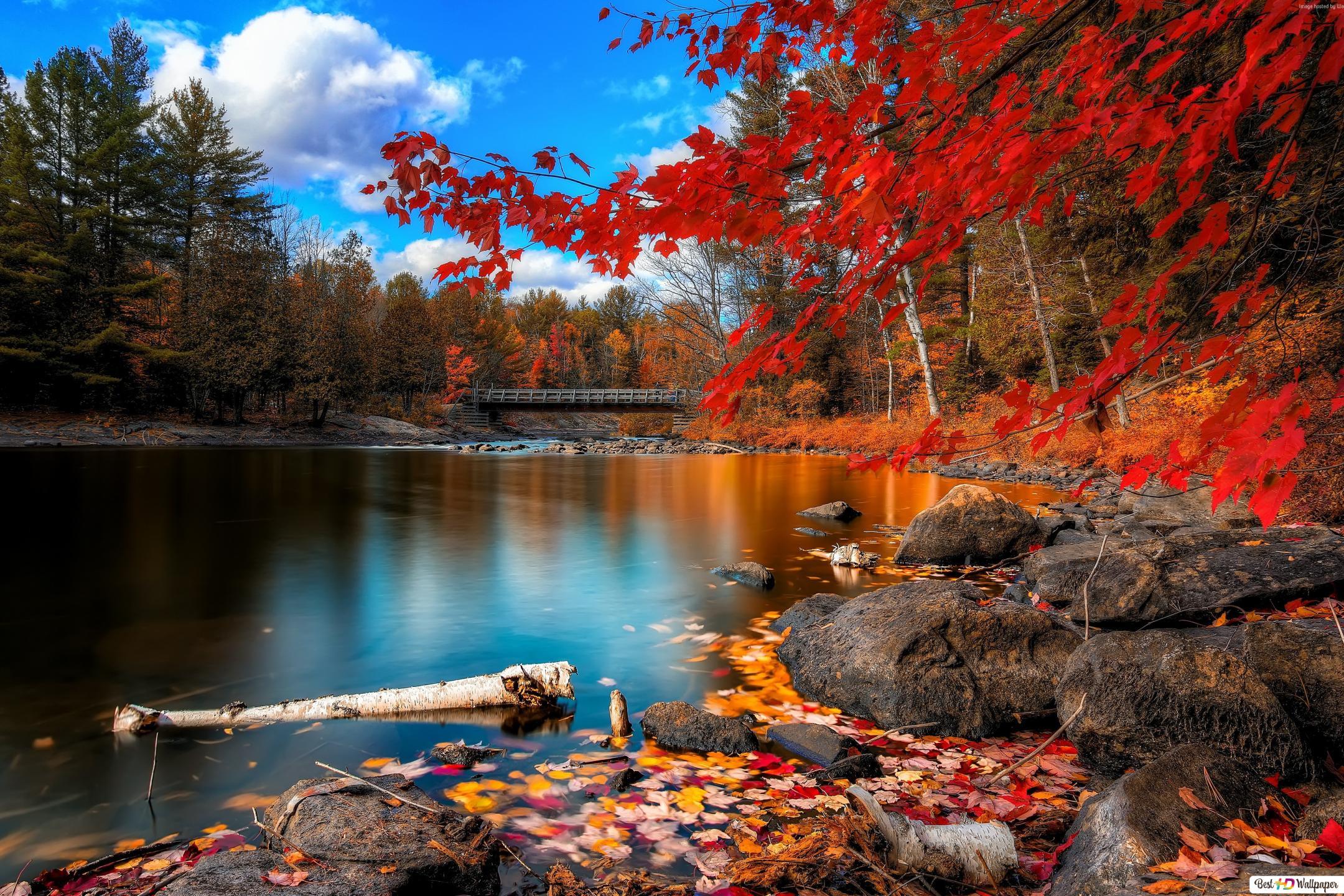 2160x1440 Beautiful Autumn season view HD wallpaper download