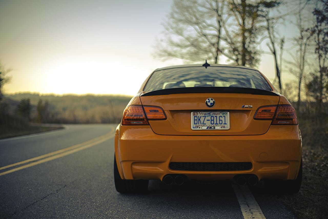 1280x853 Wallpaper BMW Orange Cars Back view