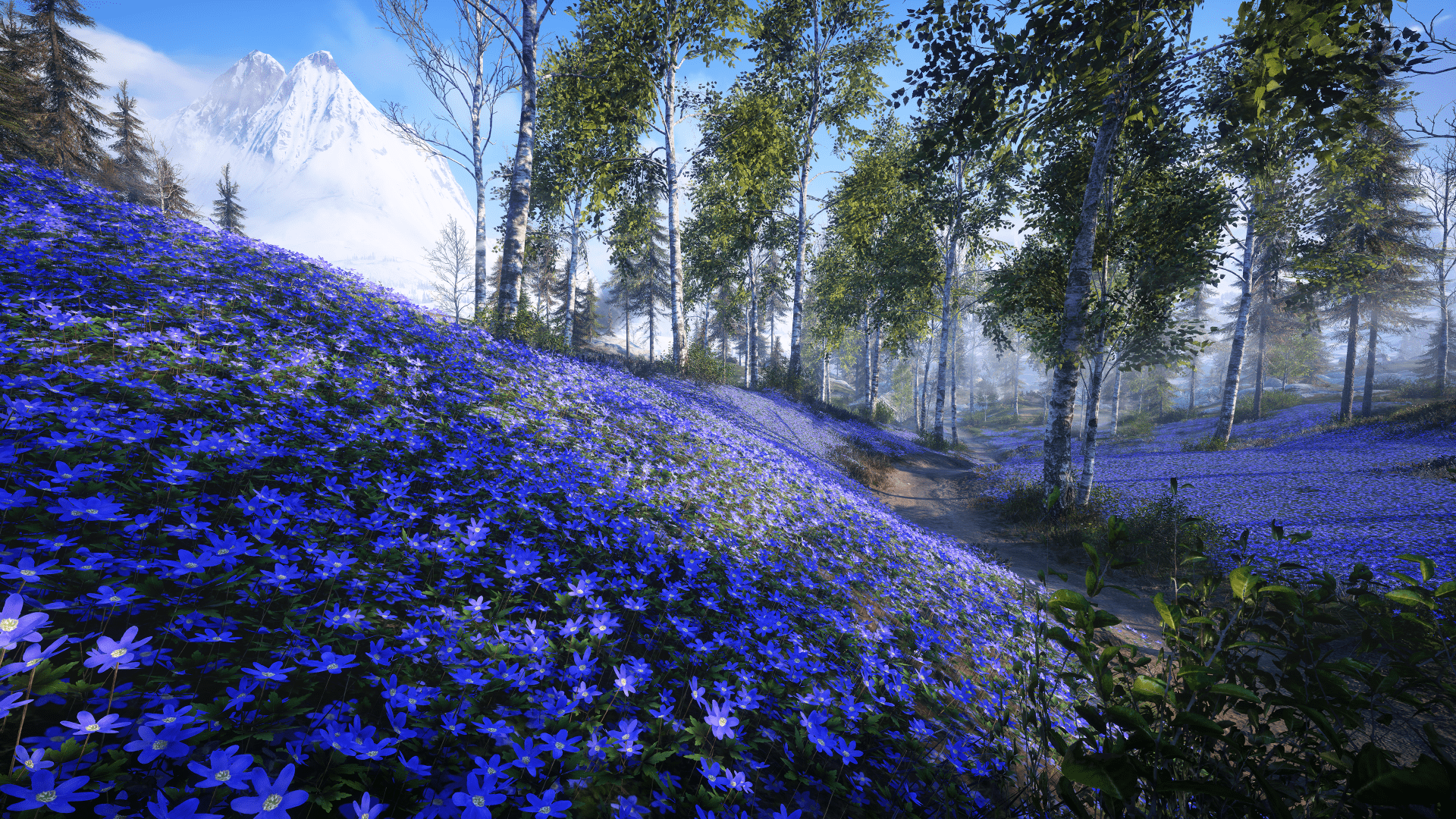 iPhoneXpaperscom  iPhone X wallpaper  nd58mountainfognatureviewwood forestblue