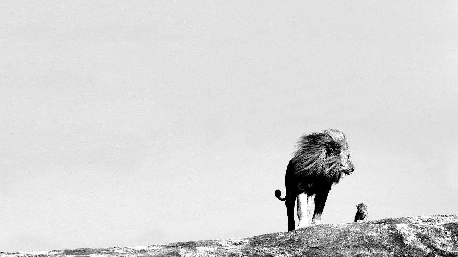 1600x900 Flagrant Wallpaper Patterns Black Wallpaper Phone Lion Black