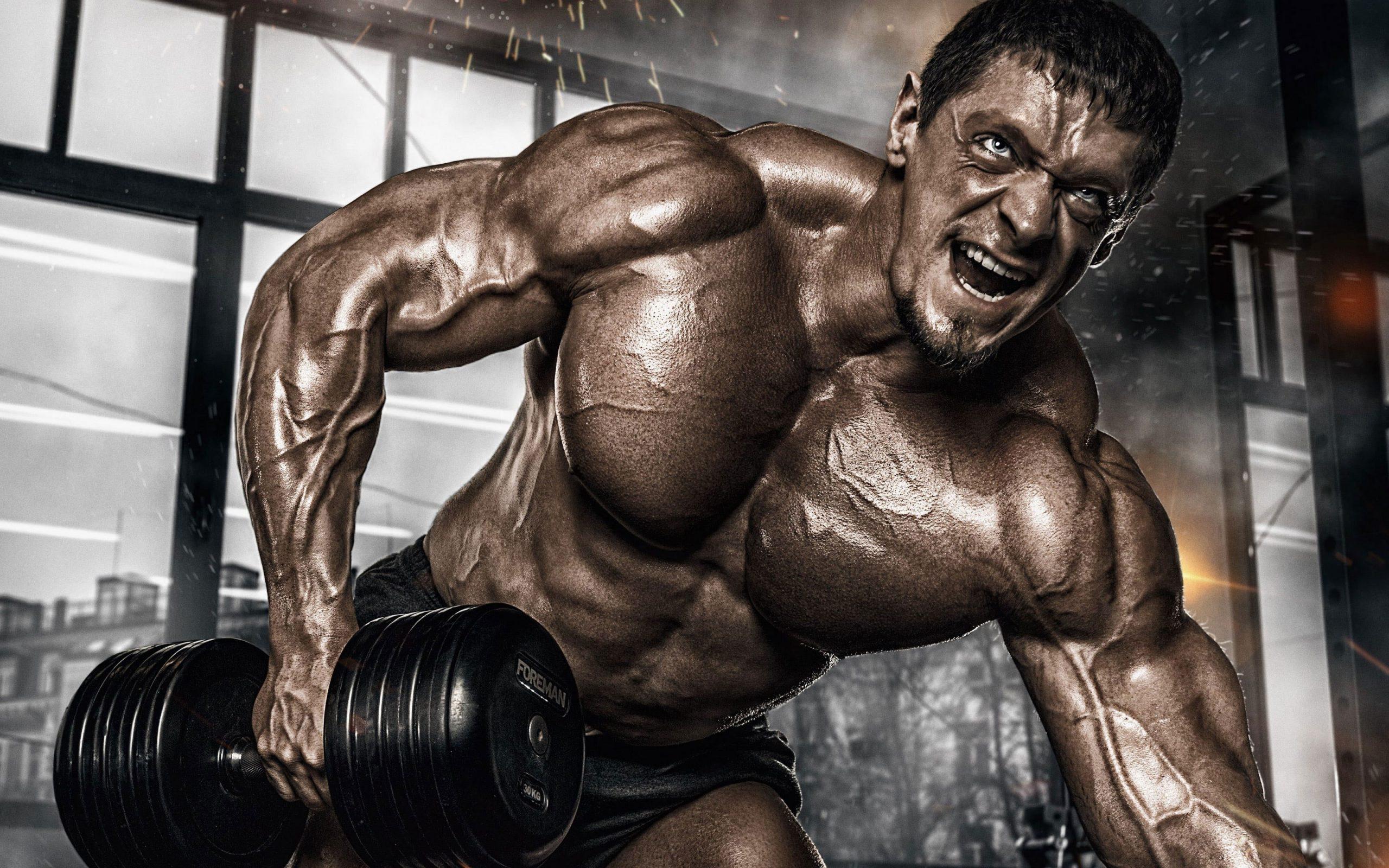 2560x1600 Wallpaper Muscle, Pose, Training, Dumbbells, Gym, Bodybuilder
