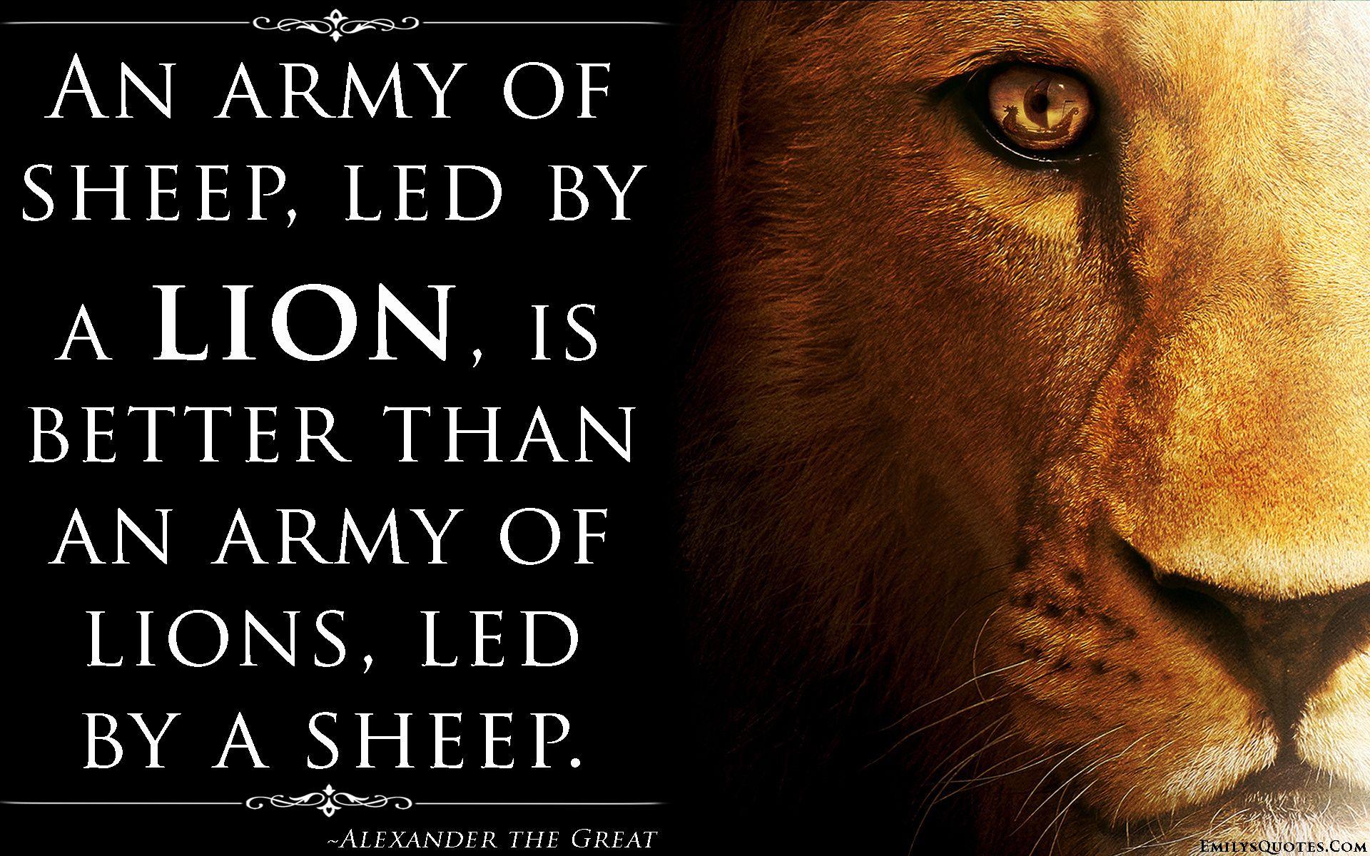 1920x1200 Quotes about Lions (195 quotes)