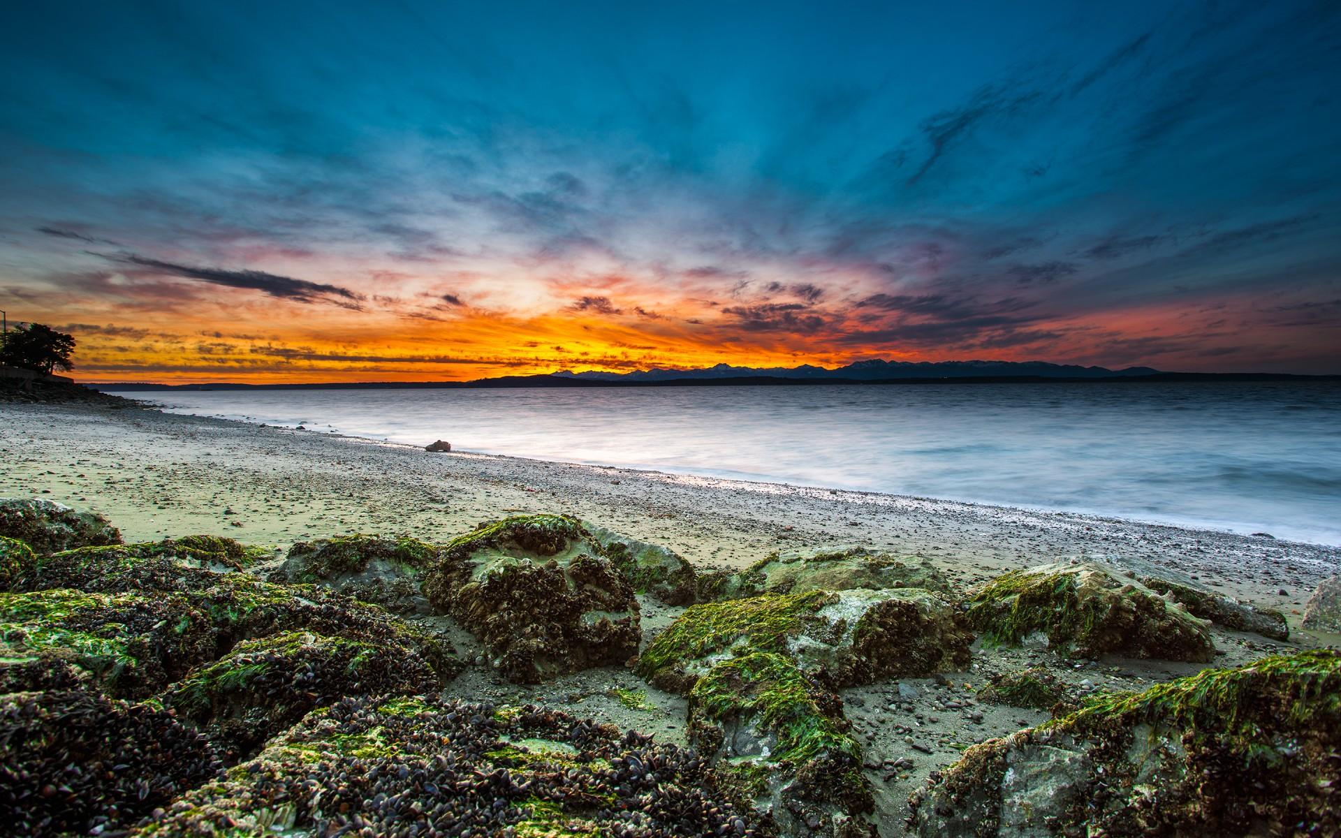 1920x1200 usa, Washington, Seattle, Beach, Shore, Stones, Moss, Sea, Bay, Evening, Sunset, Sky, Clouds Wallpaper HD / Desktop and Mobile Background