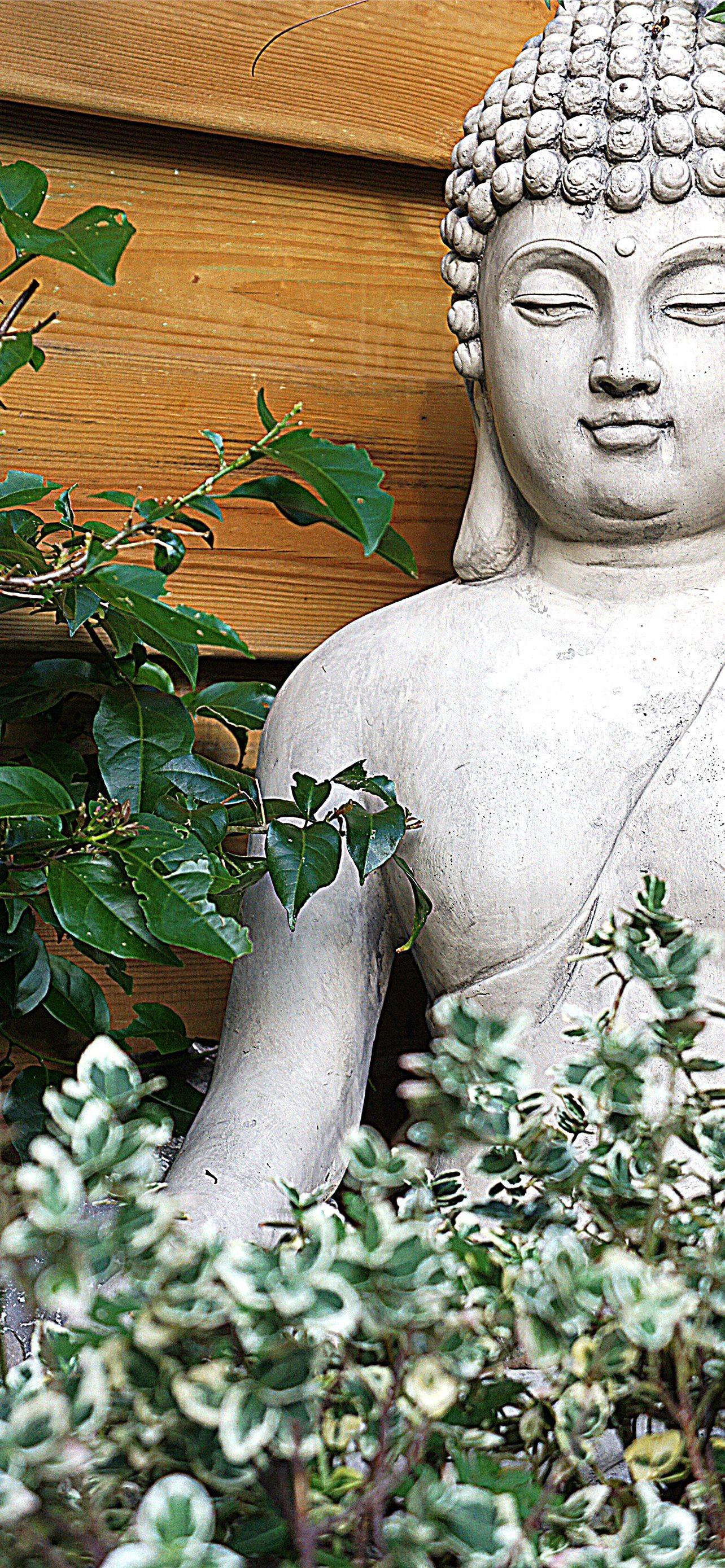 1284x2778 Buddha Wallpaper