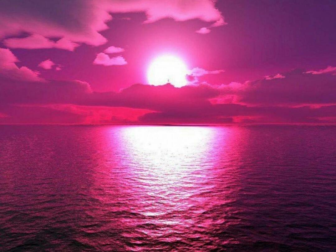 1080x810 Bright Pink Wallpaper (the best image in 2018) (2022)