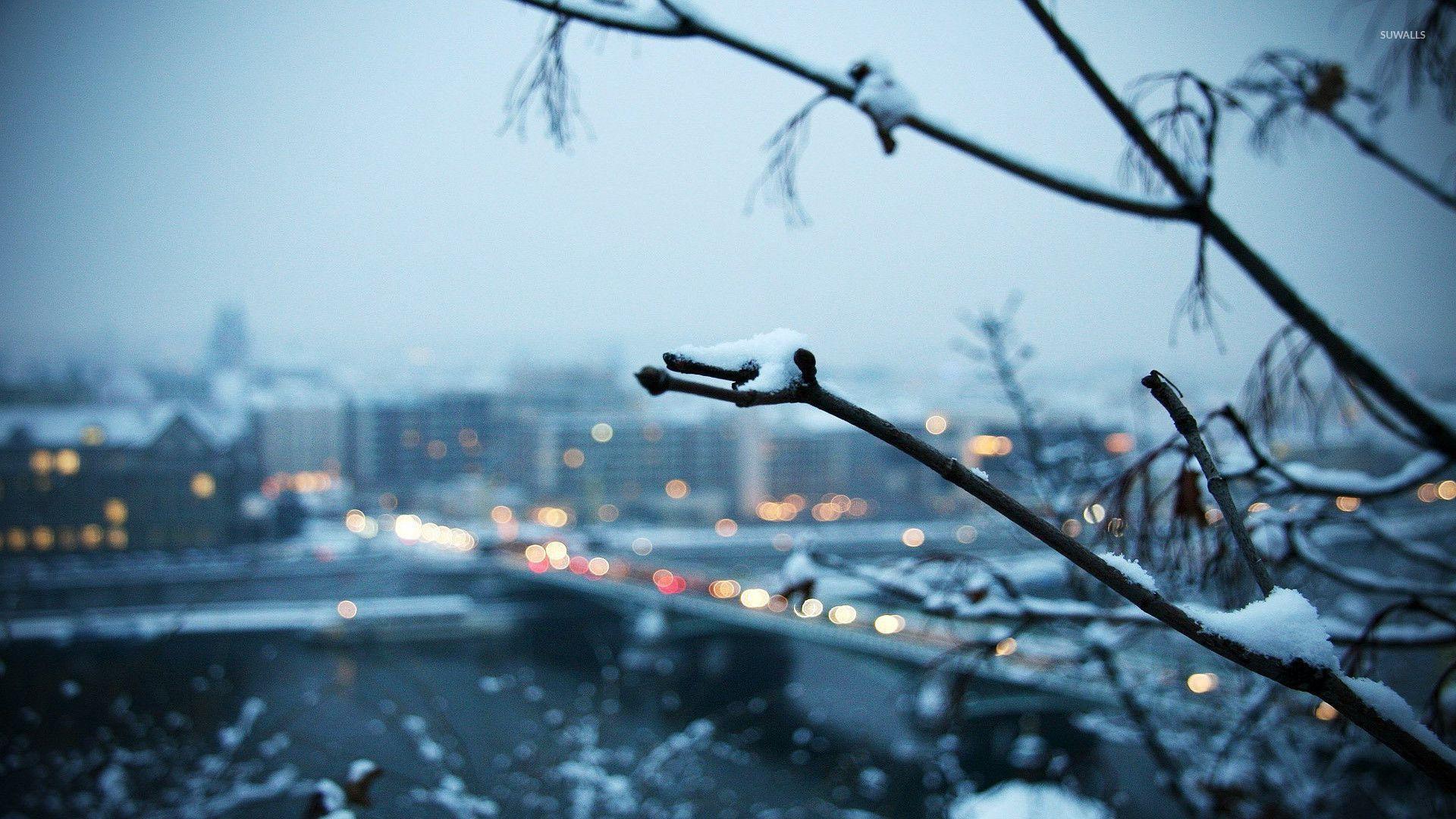 1920x1080 Snowy branch with the city in the background wallpaper wallpaper
