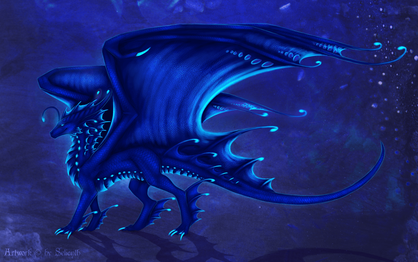 1600x1003 Cute Dragon Wallpaper