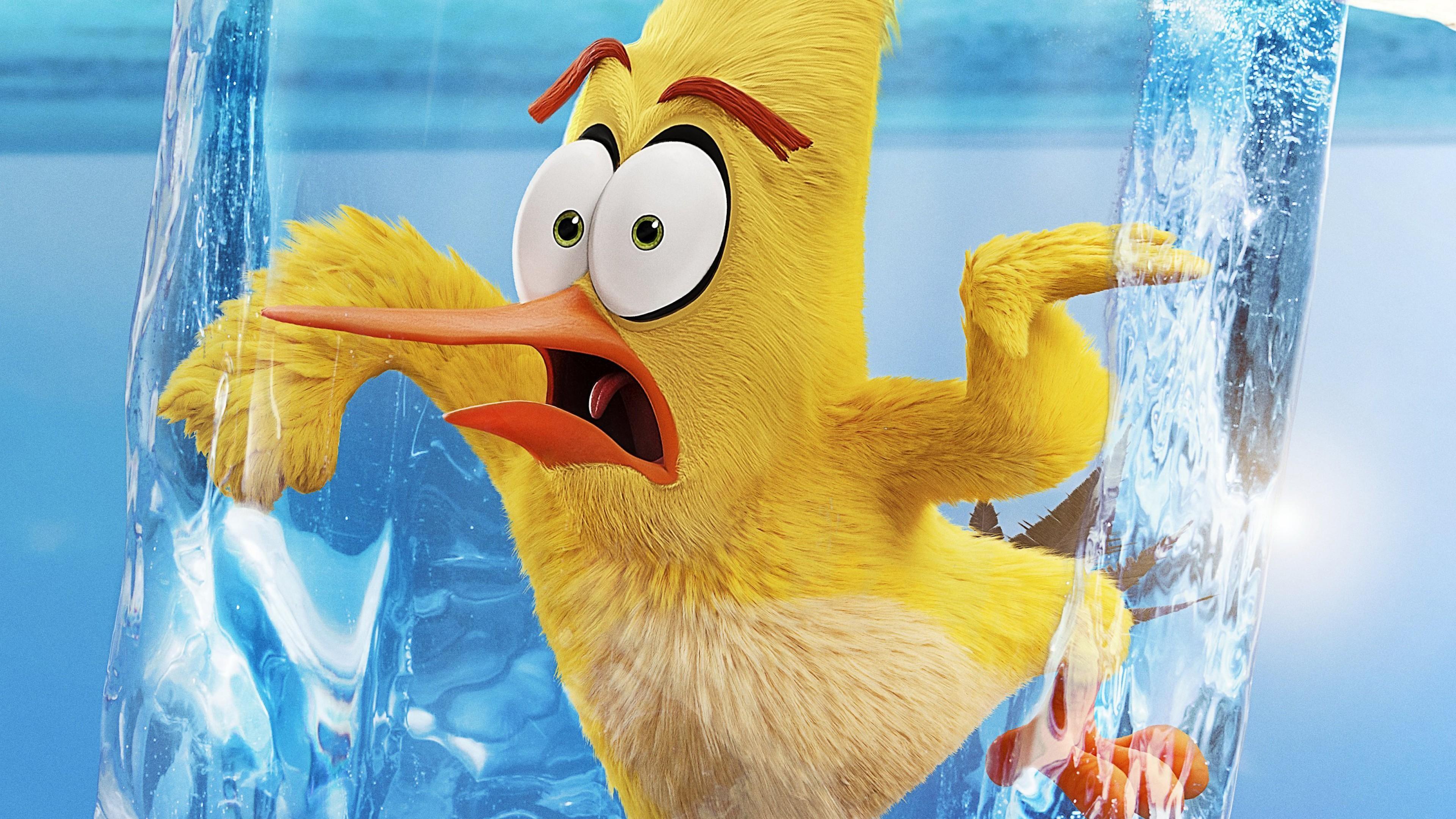 3840x2160 The Angry Birds Movie 2 Wallpaper