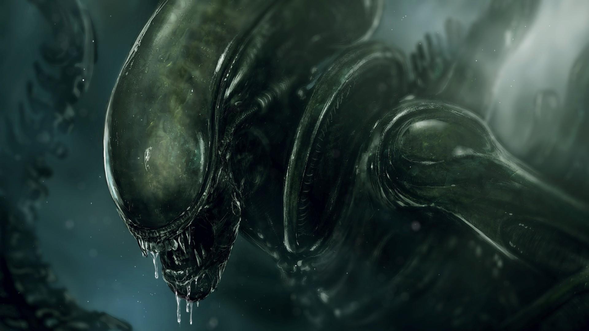1920x1080 Alien, Xenomorph Wallpaper HD Desktop And Mobile Wallpaper HD