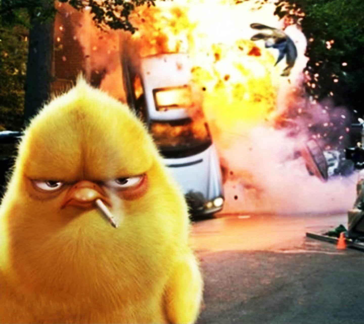 Angry Birds Funny Wallpapers - Top Free Angry Birds Funny Backgrounds
