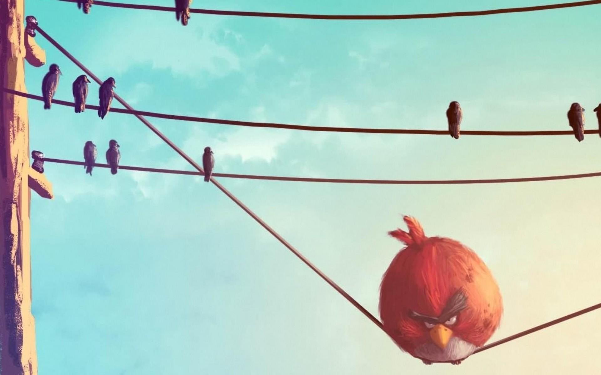 1920x1200 paintings, Video, Games, Birds, Funny, Artwork, Drawings, Angry, Birds, Wire Wallpaper HD / Desktop and Mobile Background