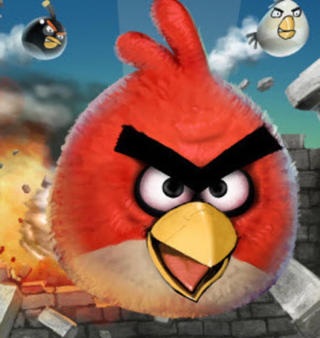 Angry Birds Funny Wallpapers - Top Free Angry Birds Funny Backgrounds