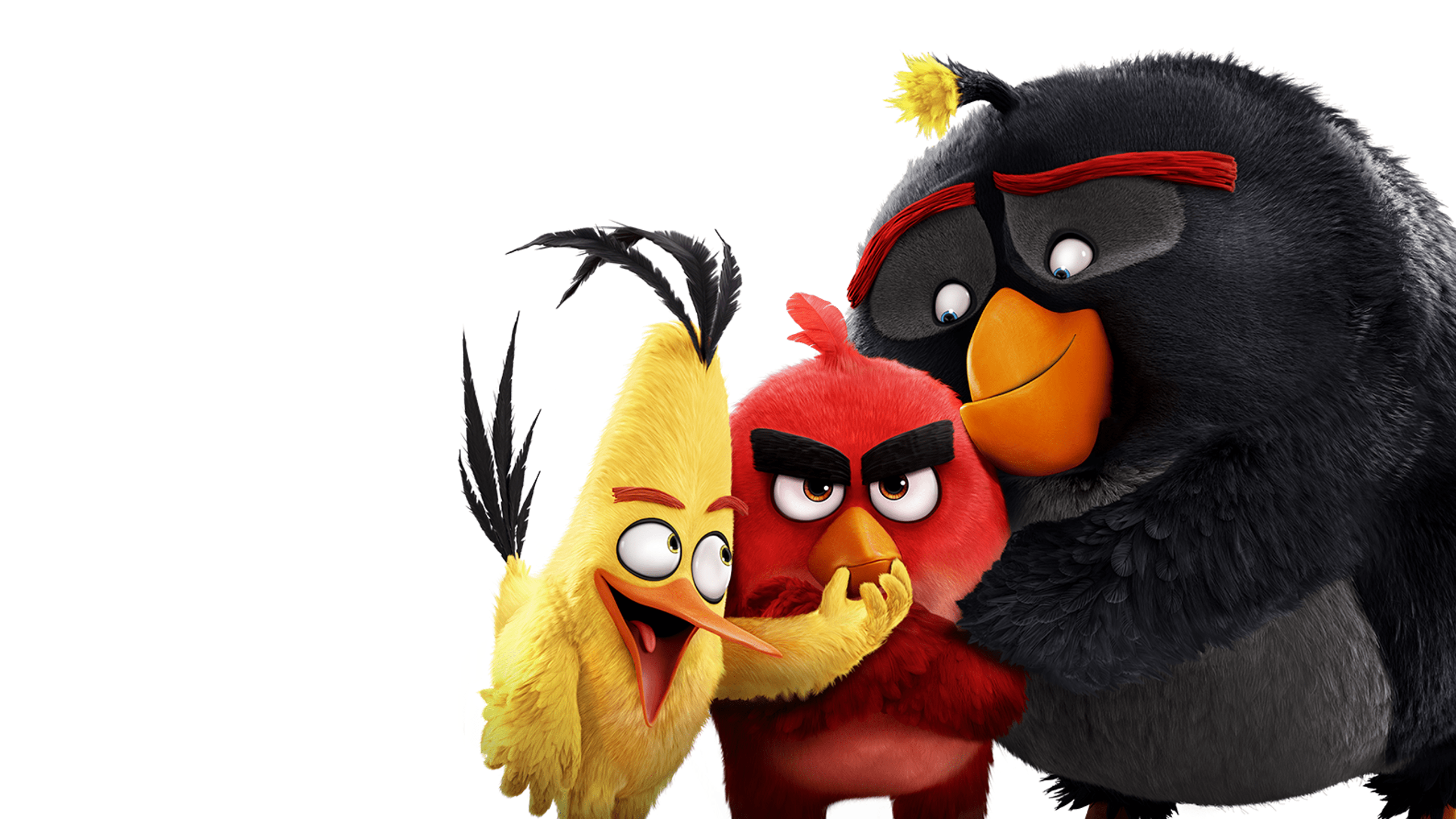 Angry Birds Funny Wallpapers - Top Free Angry Birds Funny Backgrounds ...