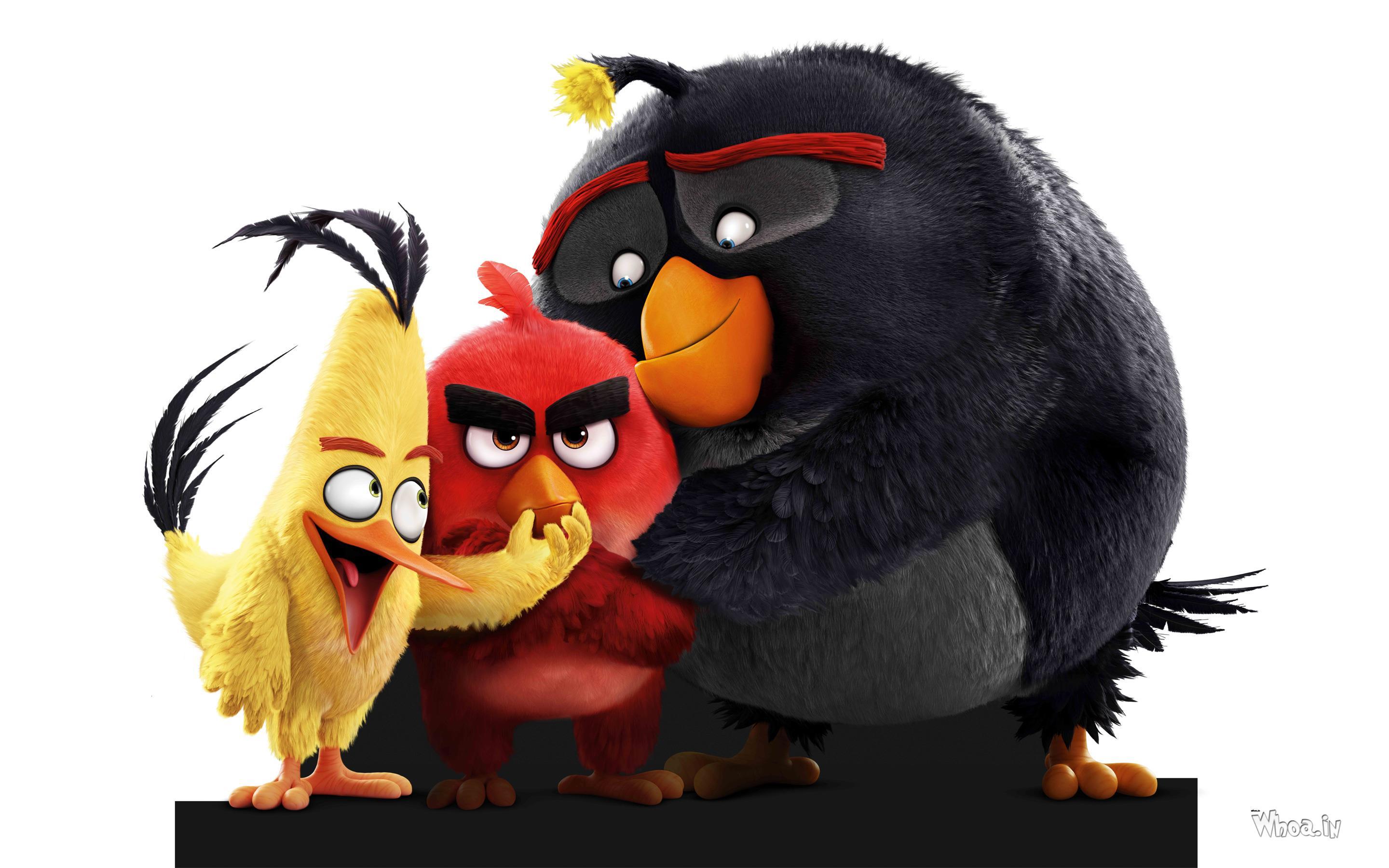 2880x1800 Cartoon Movie Birds Movie 2016 Wallpaper