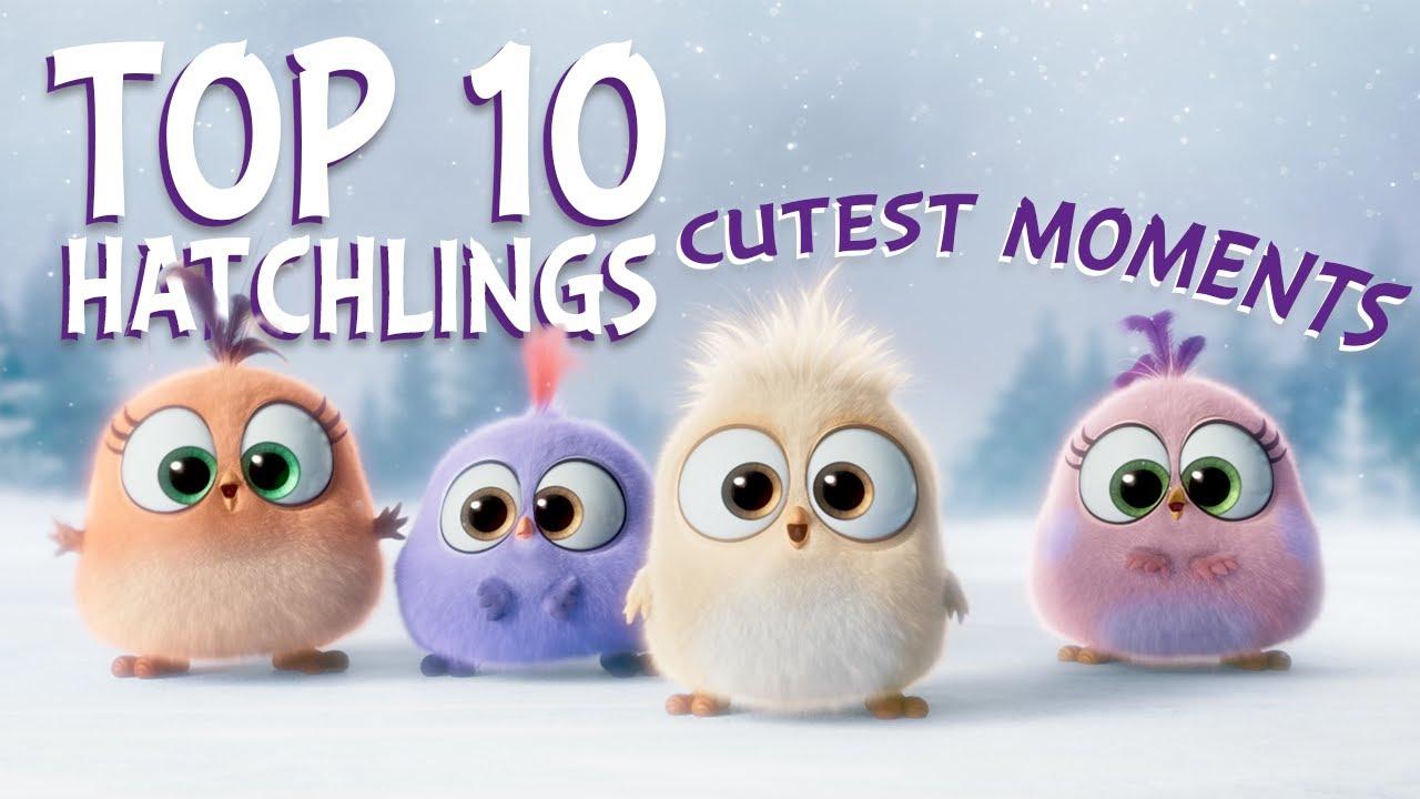 1280x720 Angry Birds. Hatchlings Cutest Moments