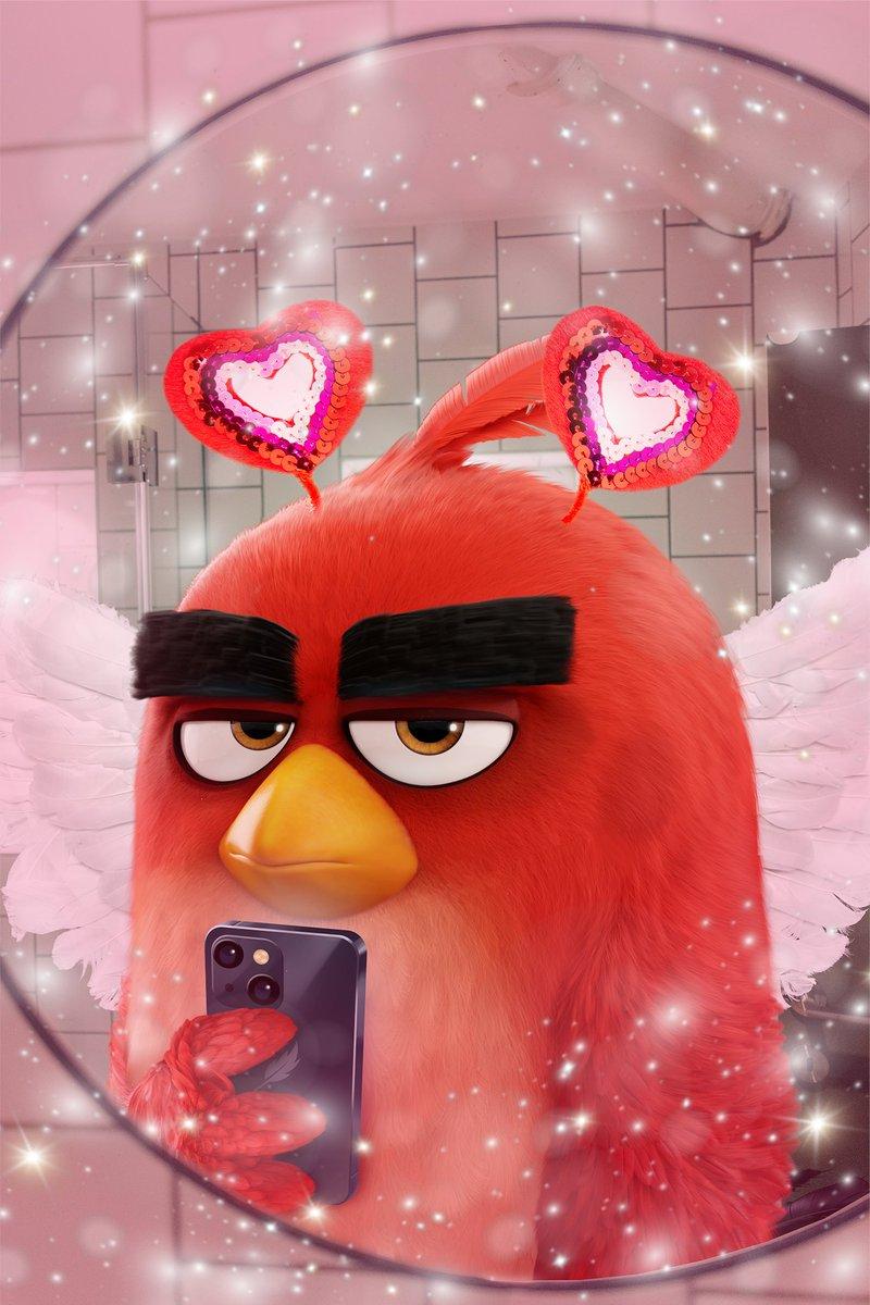 Angry Birds Funny Wallpapers - Top Free Angry Birds Funny Backgrounds