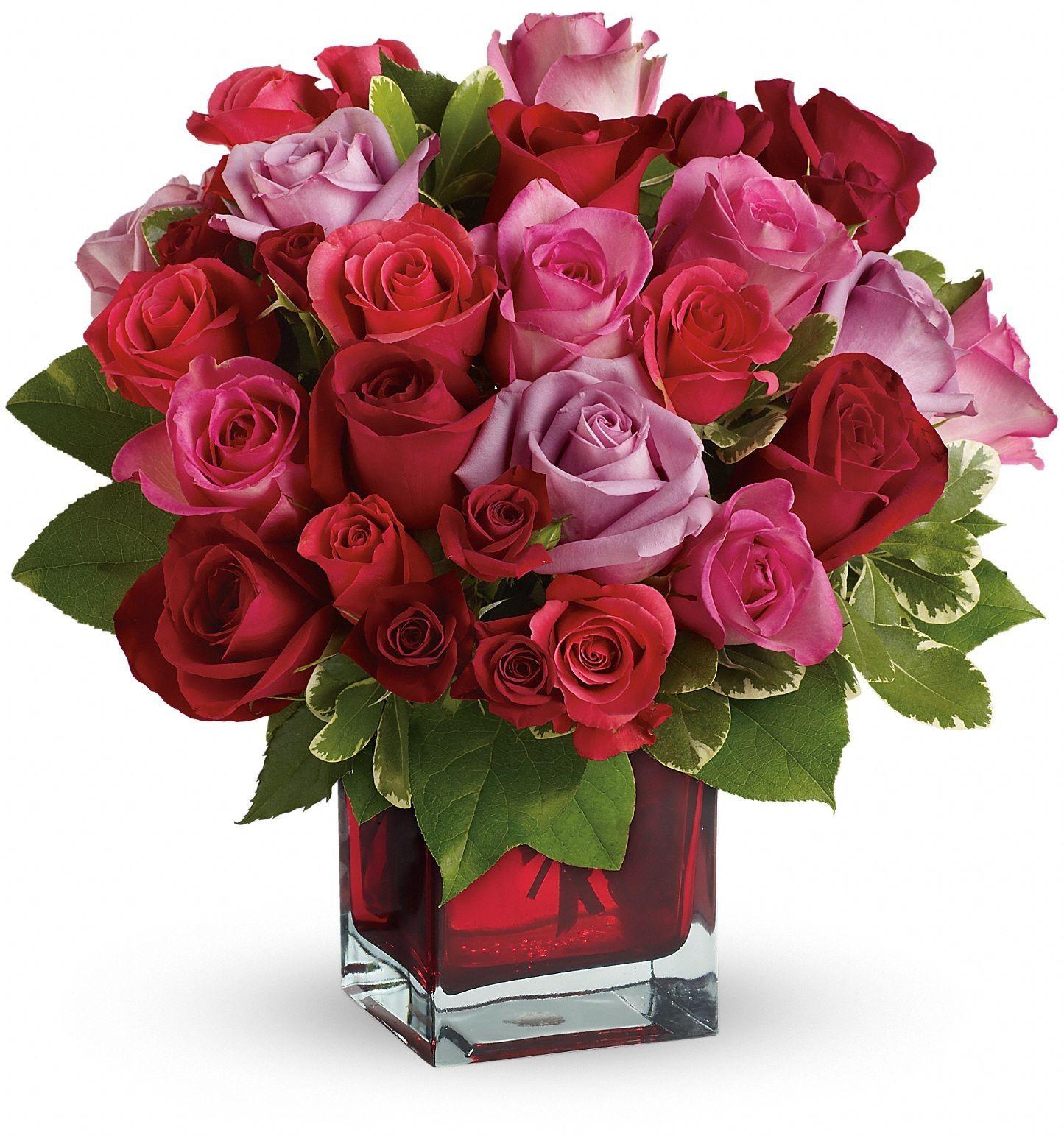 1445x1550 Bunch Of Roses ideas. beautiful roses, beautiful flowers, flowers