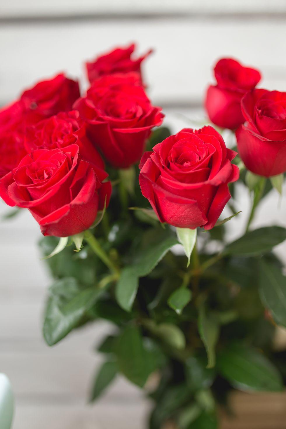 980x1469 Flowers With Surprising Meanings of Flowers