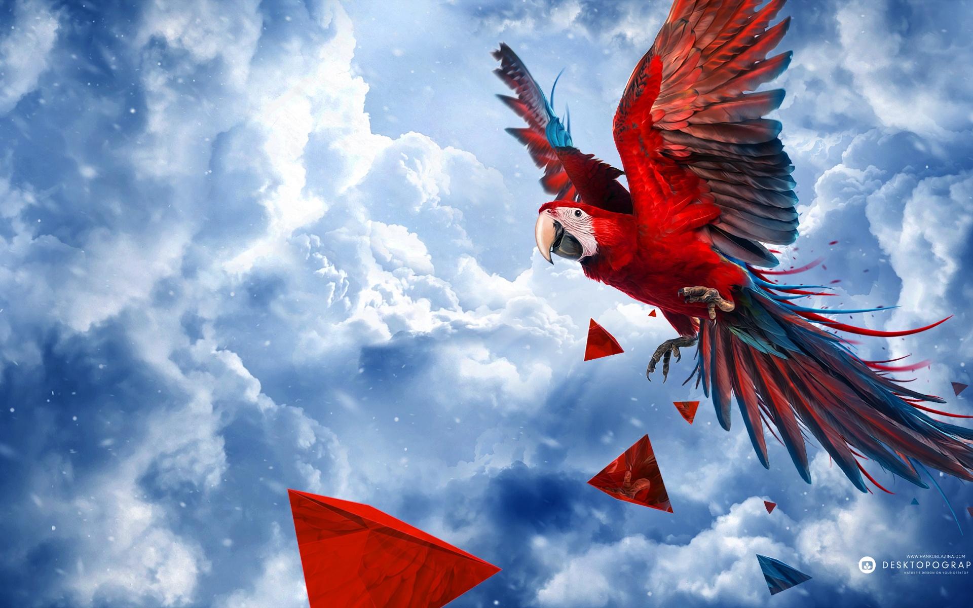 1920x1200 Parrot Blue Sky, HD Birds, 4k Wallpaper, Image, Background, Photo and Picture