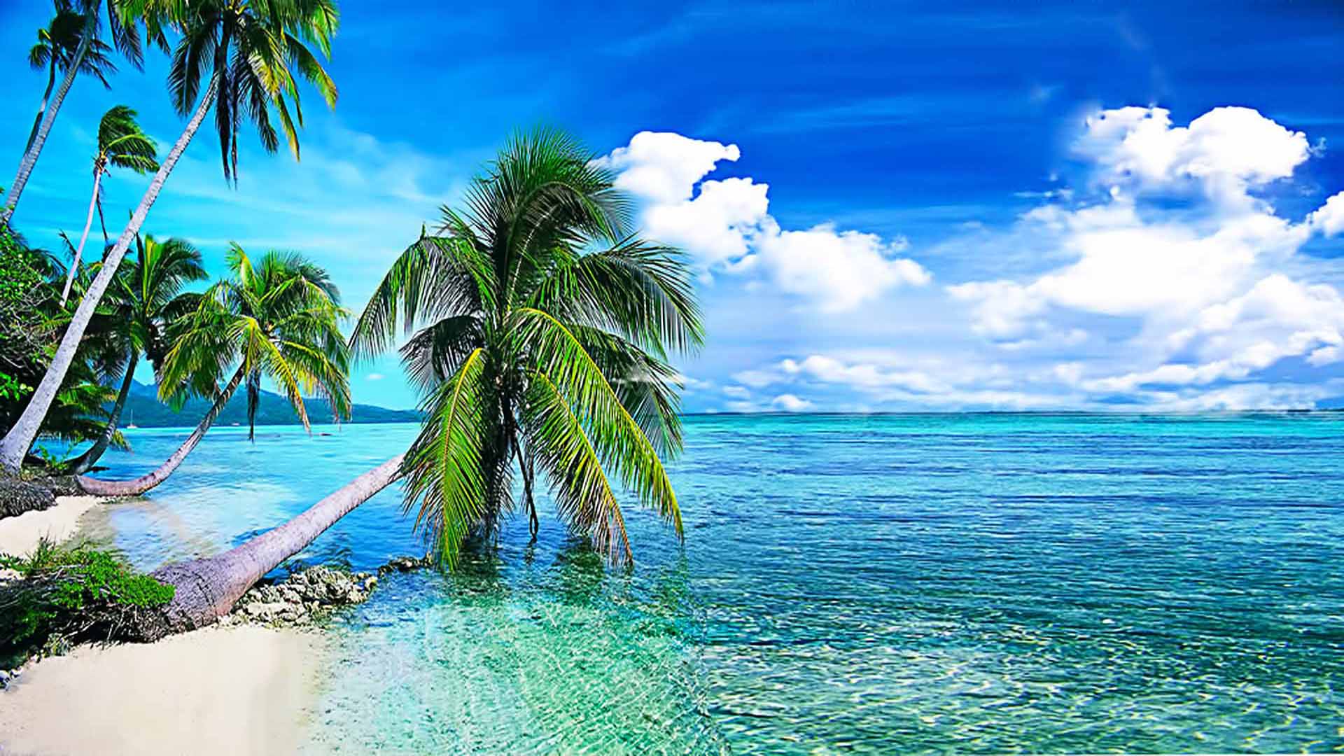 1920x1080 Summer Background, Tropical Beach With Palmi.okean With Crystal Clear Water And White Clouds In The Sky Desktop Wallpaper Download Free 1920x1200 :