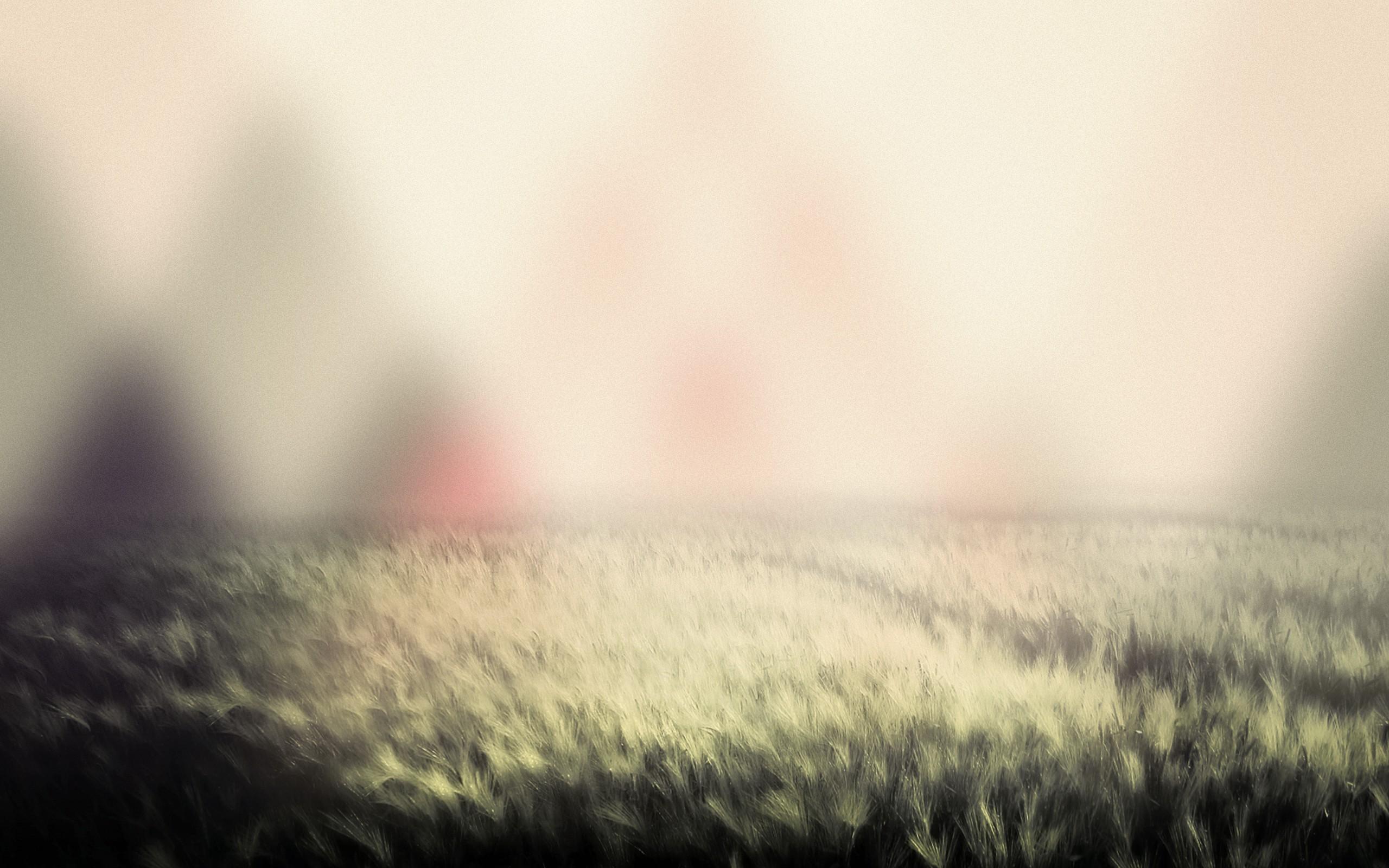2560x1600 Amazing Blurred Wallpaper 36393 2560x1600px