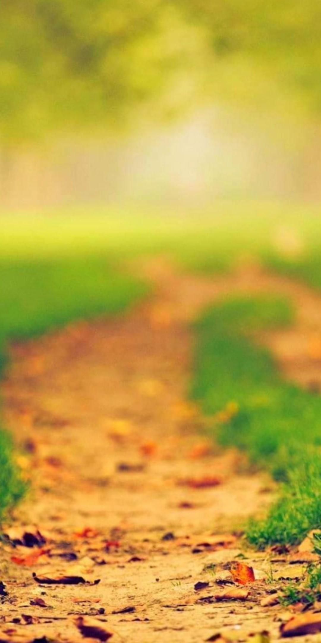1080x2160 Download 1080x2160 Grass, Blurry, Path, Road, Scenery, Trees Wallpaper for Huawei Mate 10