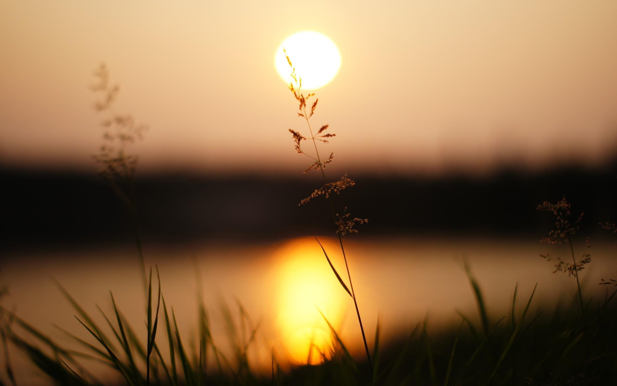 2560x1600 Fantastic Blurred Wallpaper 36396 2560x1600px