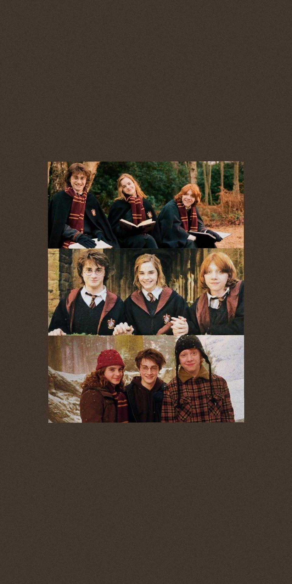 960x1921 the golden trio. ♡. Harry potter scene, Harry hermione ron, Harry potter cast