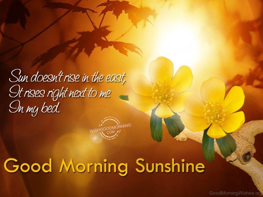 1024x768 Good Morning Sunshine Image