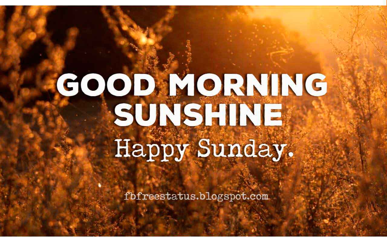 1280x800 Good Morning Sunday Morning Sunshine, Happy Sunday