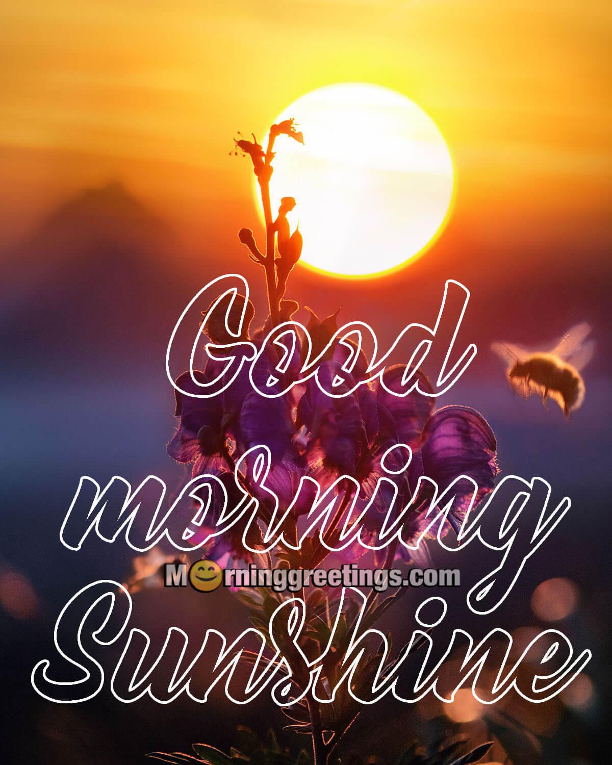1200x1500 Good Morning Image Greetings