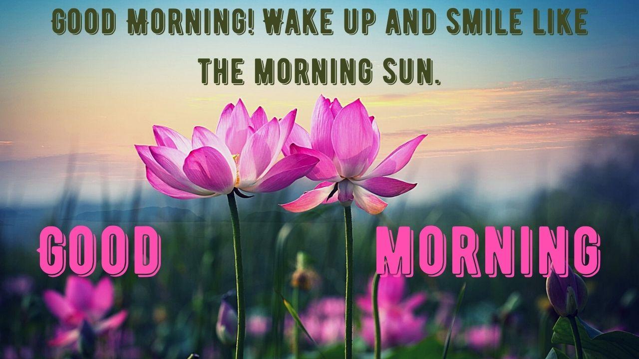 1280x720 + Beautiful Good Morning Sunshine Image With Quotes