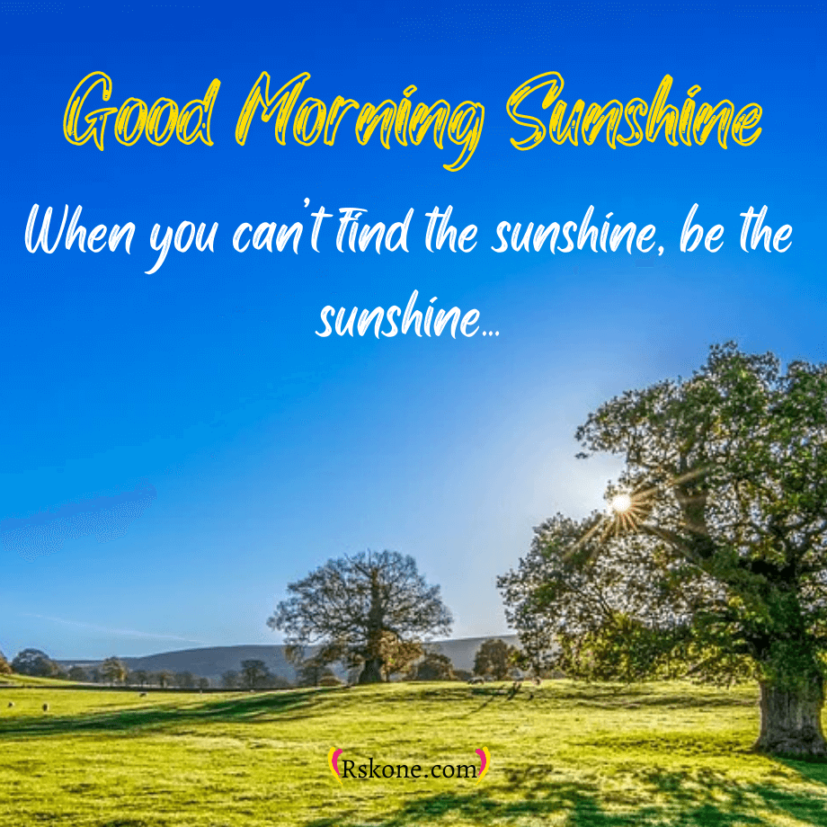 920x920 Beautiful Good Morning Sunshine Image, Pics, Wishes,