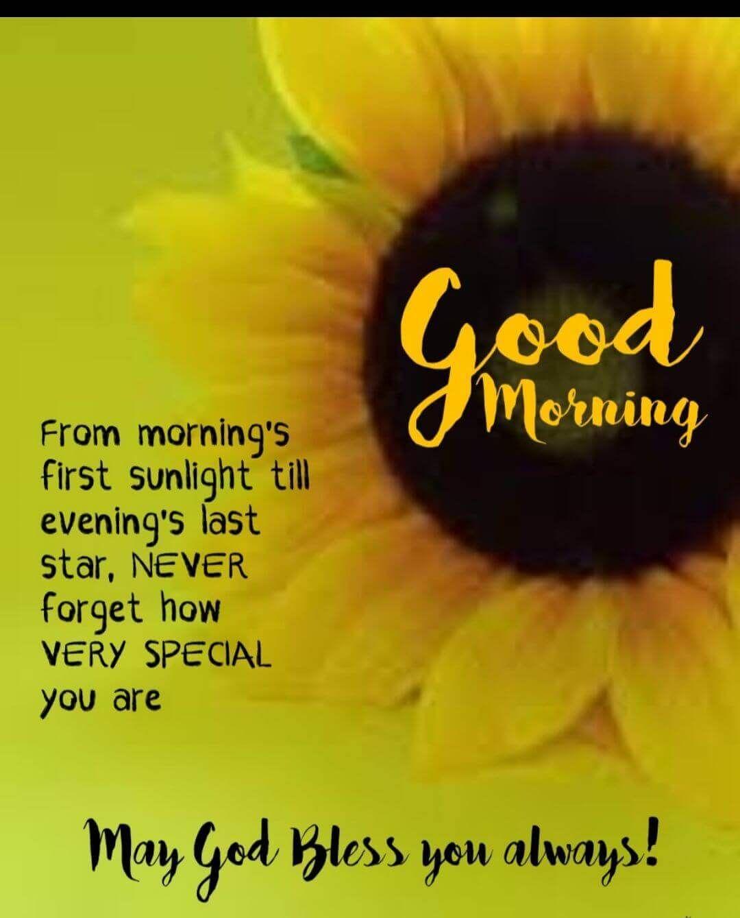1080x1339 Good Morning Inspirational Quotes & Sayings With Image. Morning quotes funny, Positive good morning quotes, Happy morning quotes